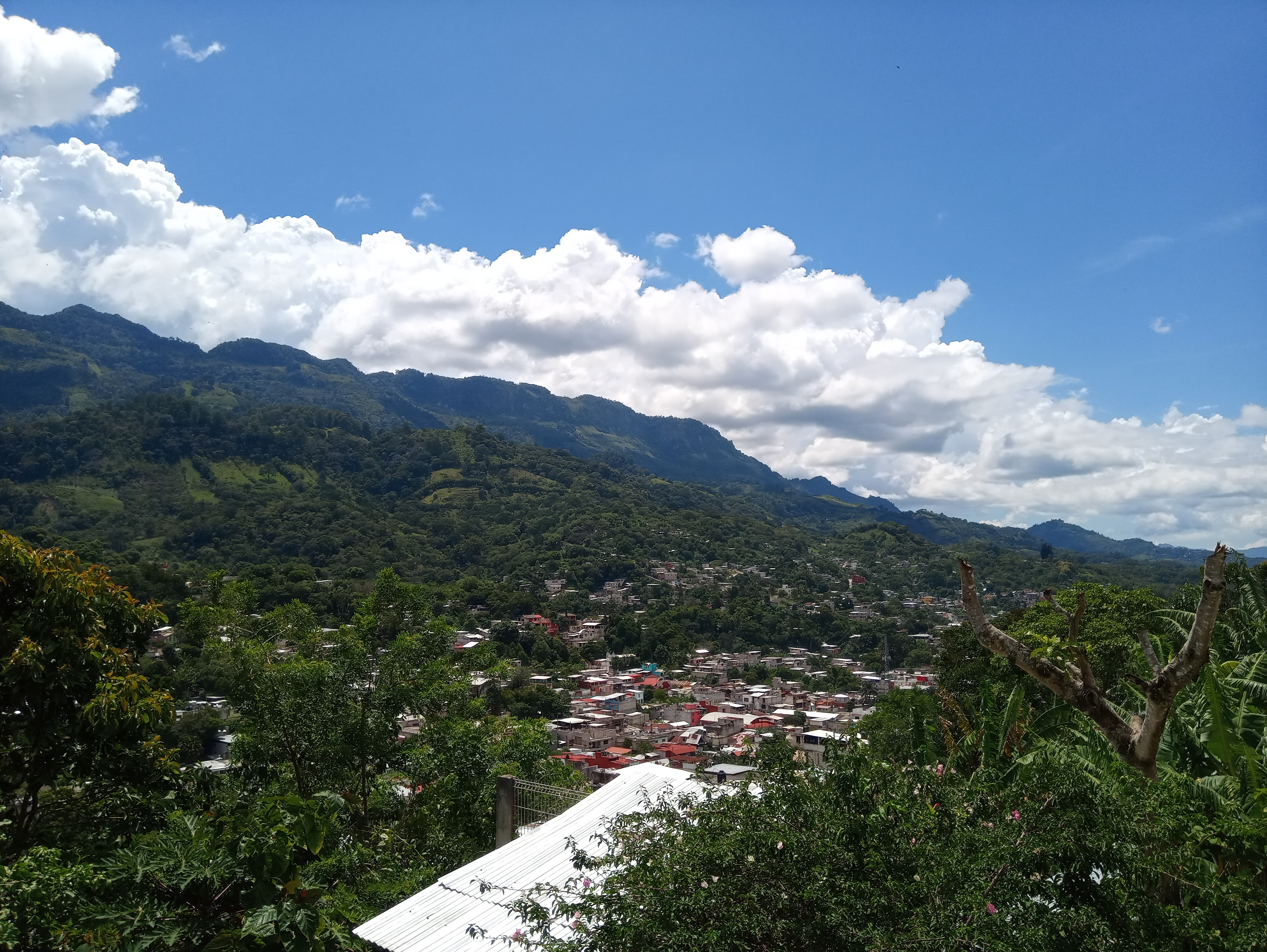 La Garra Resto&Pub image 3