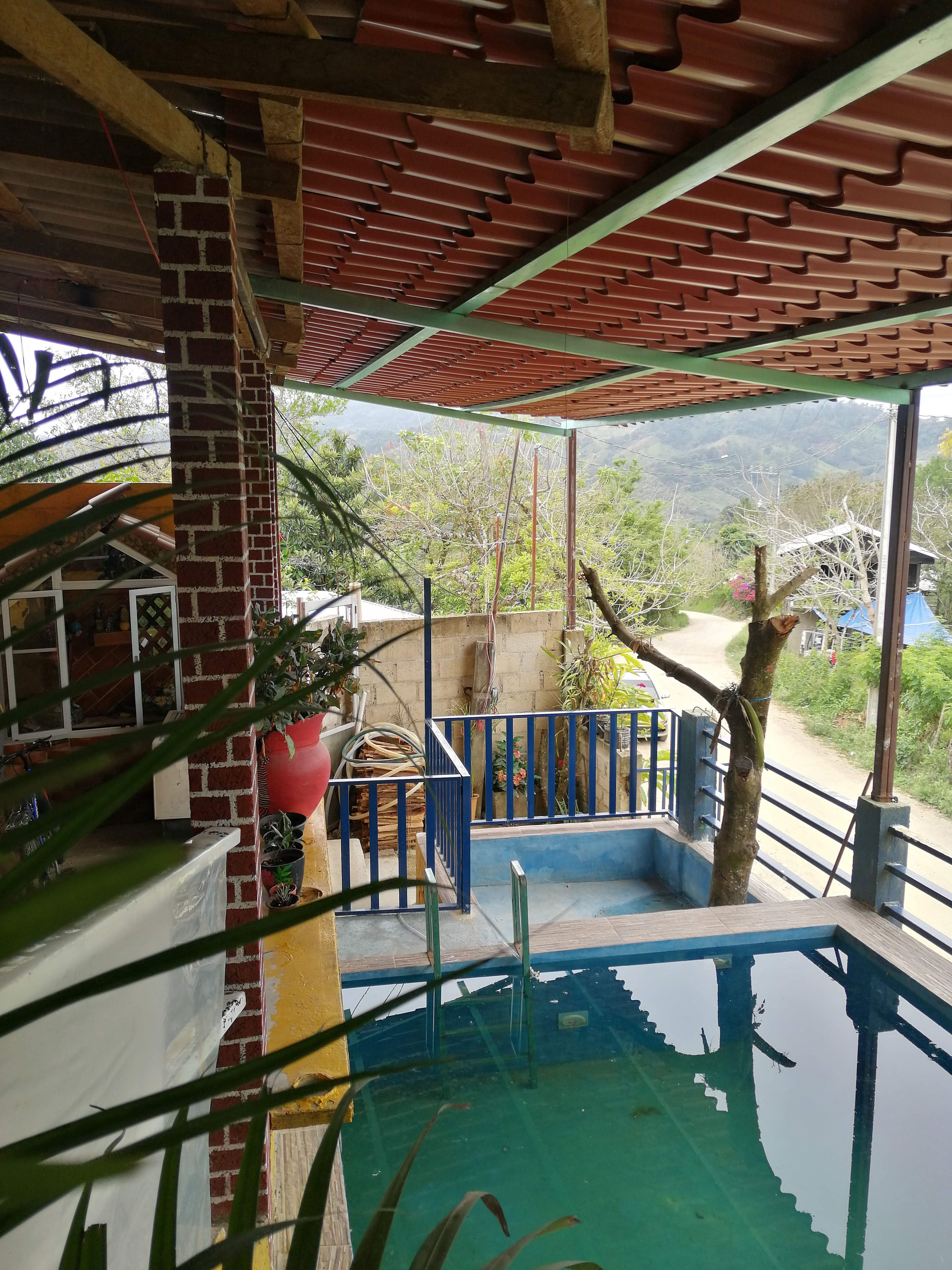 Centro Botanero "La Patrona" image 3