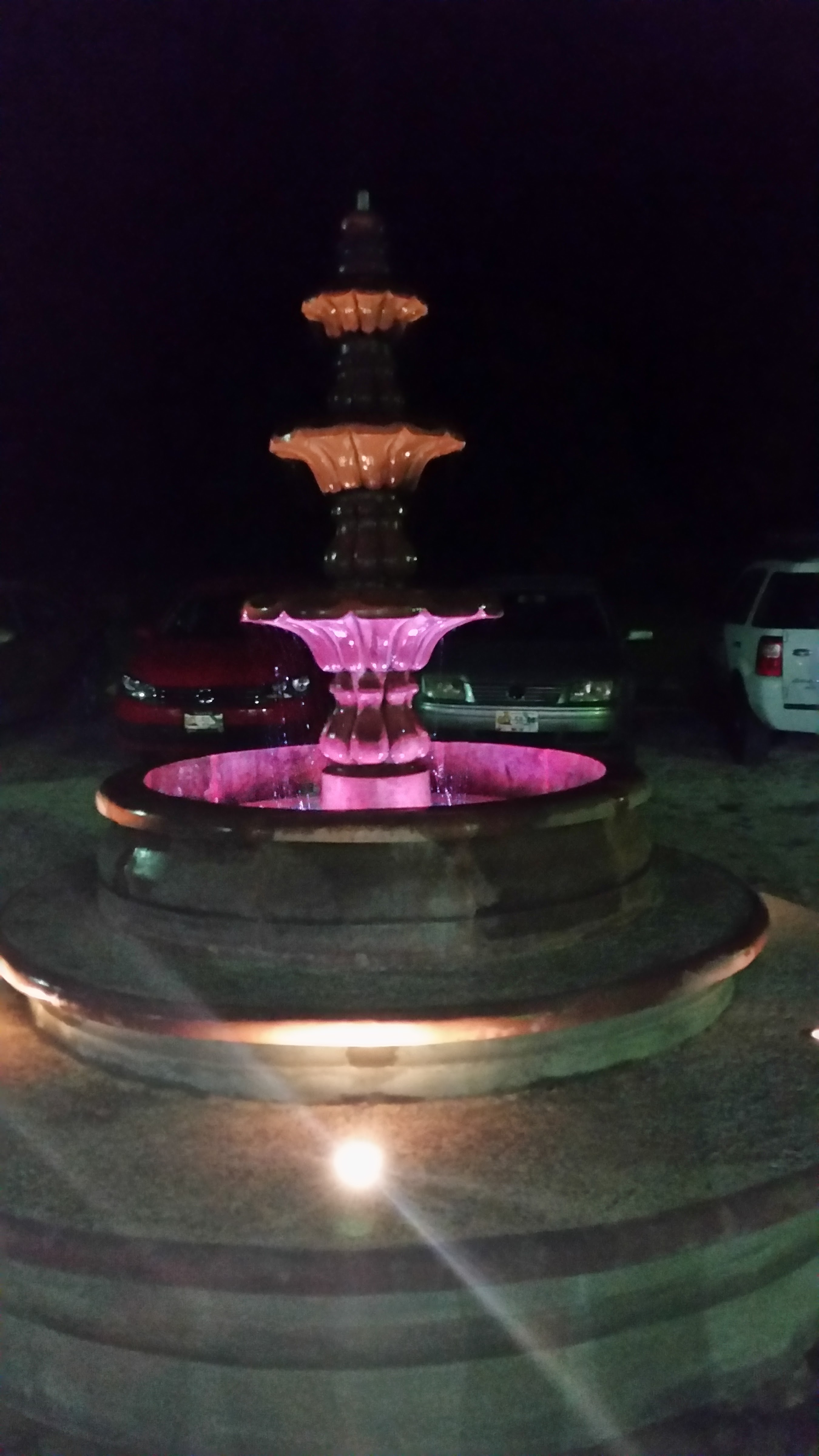 Restaurante el Delfin image 3