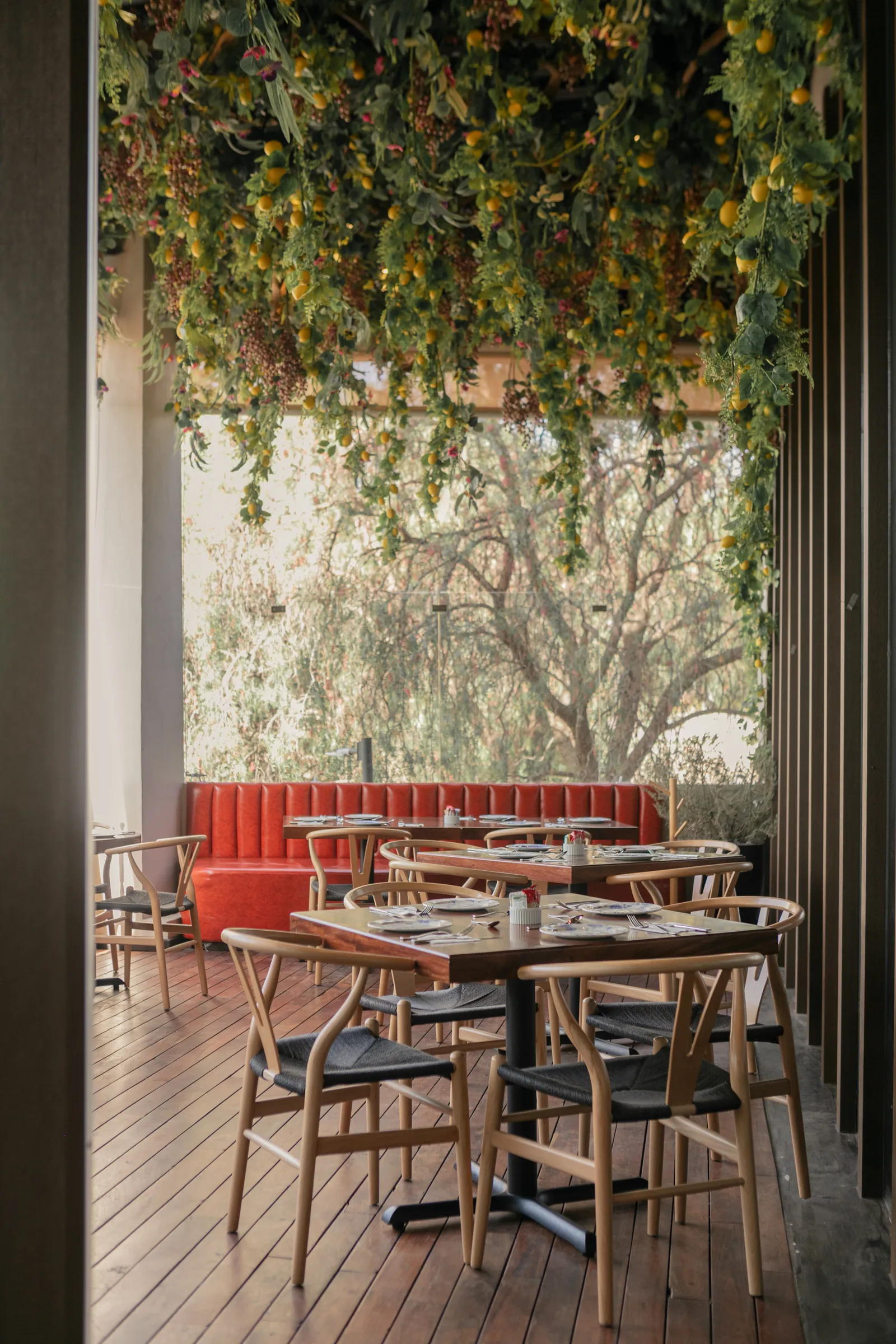 Joia Restaurante & Bar image 1