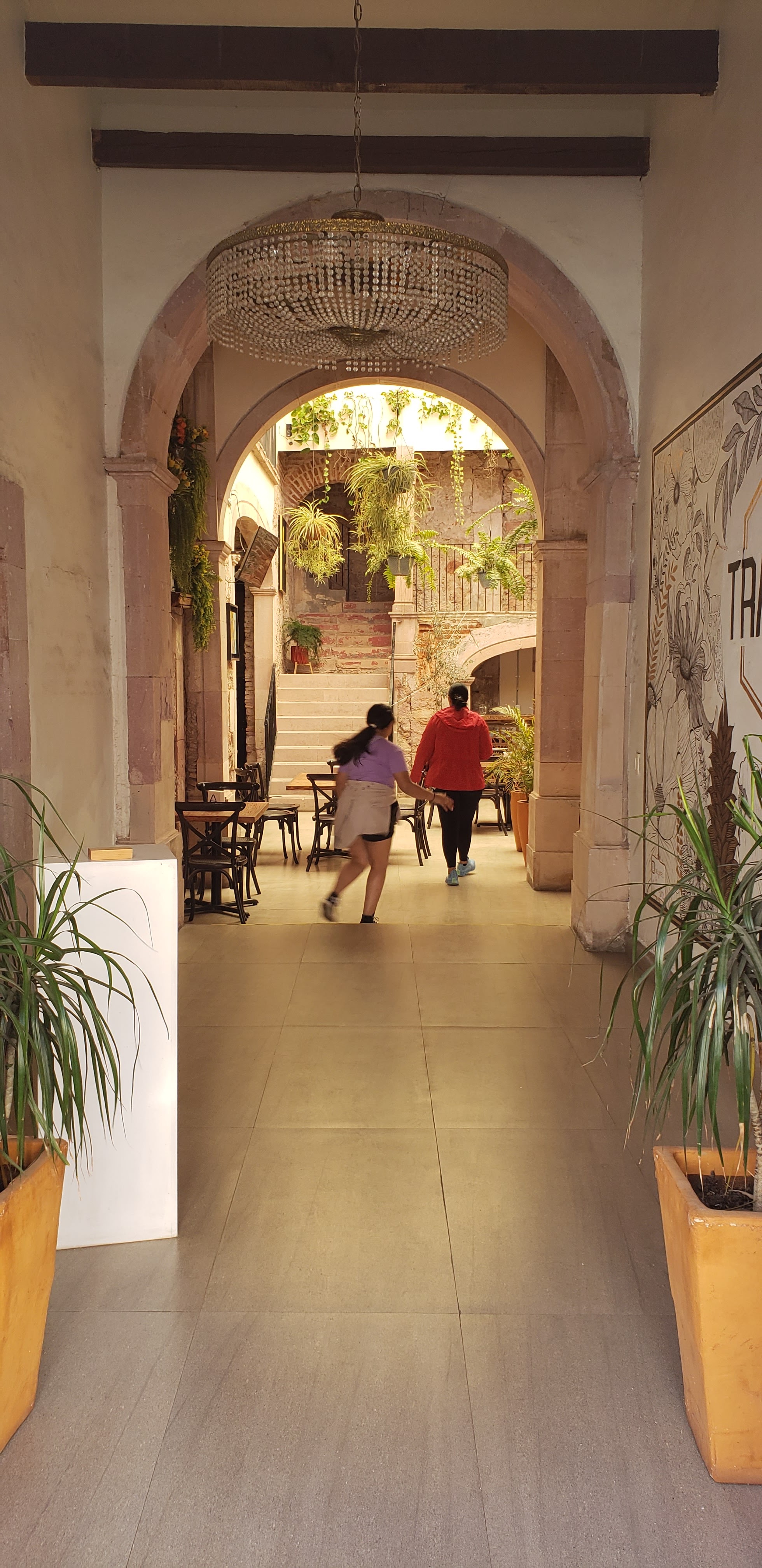 Trattoria 43 Restaurante-Bar image 5