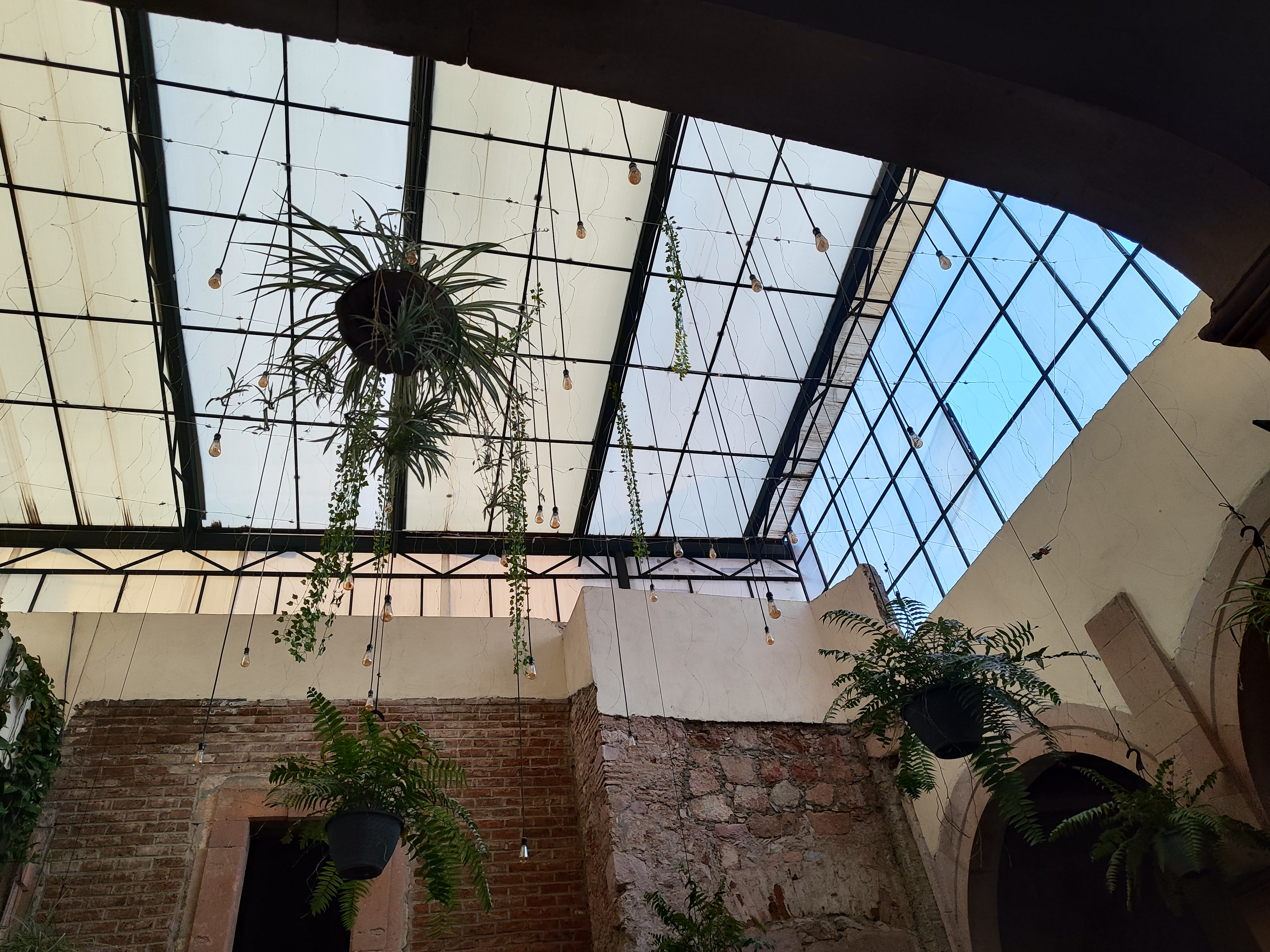 Trattoria 43 Restaurante-Bar image 8