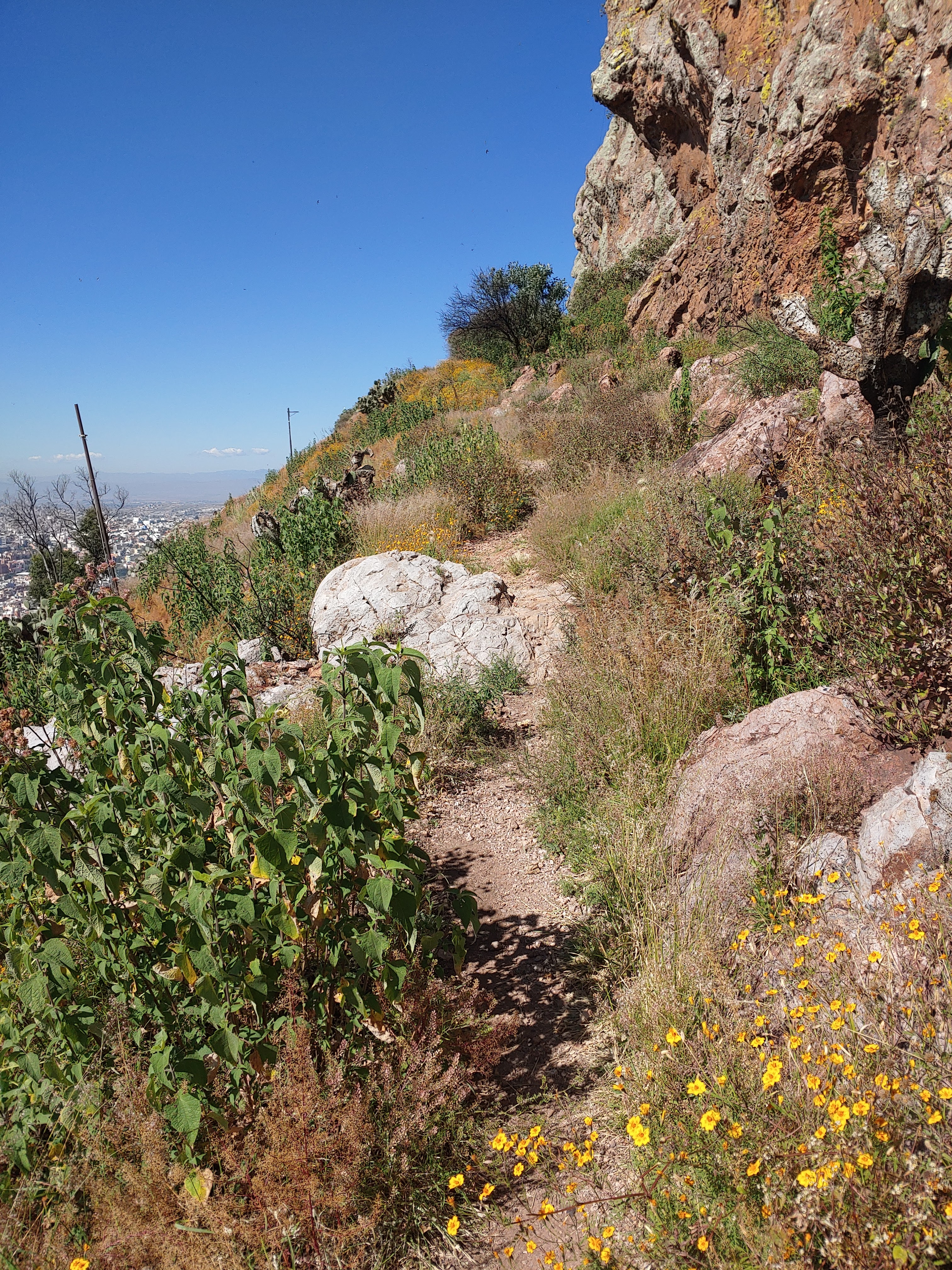 Terraco Restaurant image 6