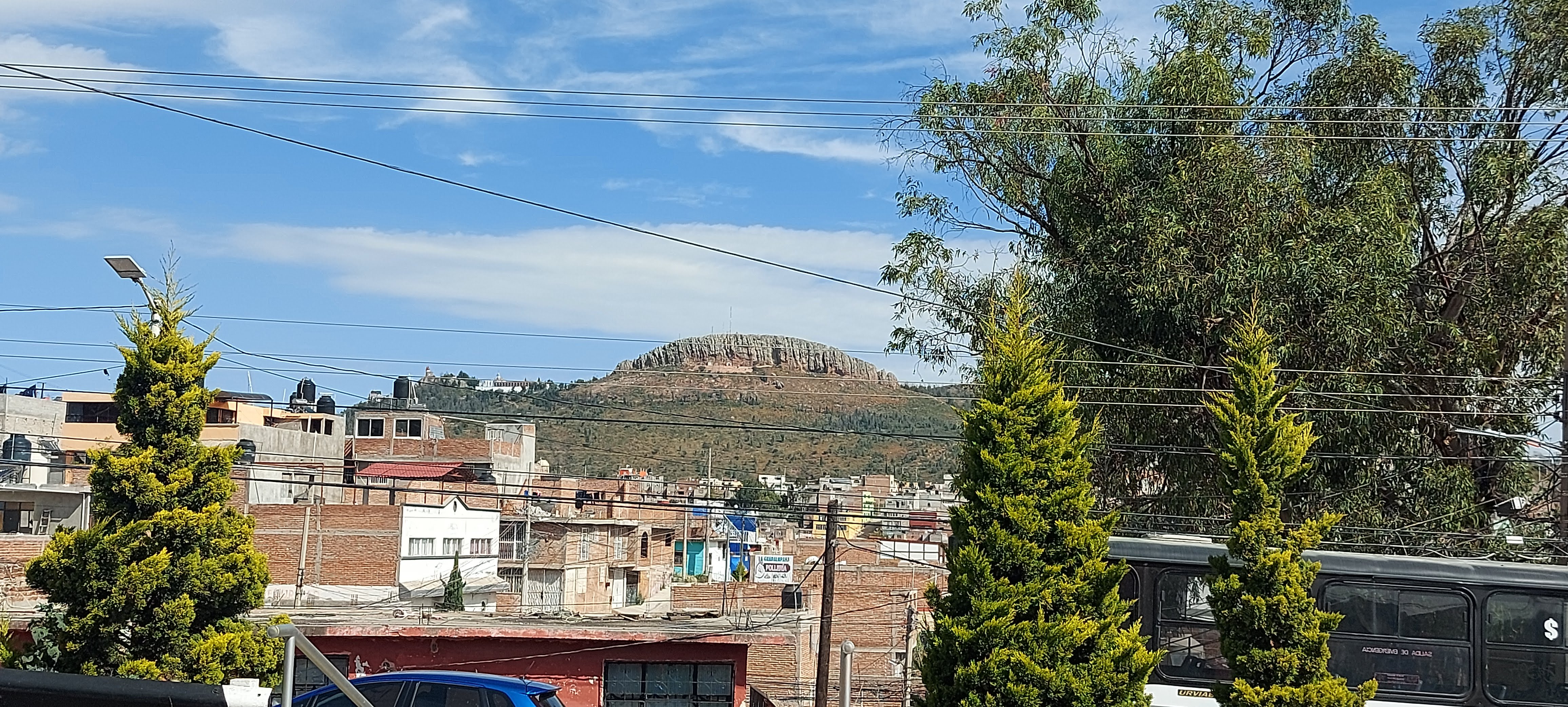 La Finca restaurante image 9
