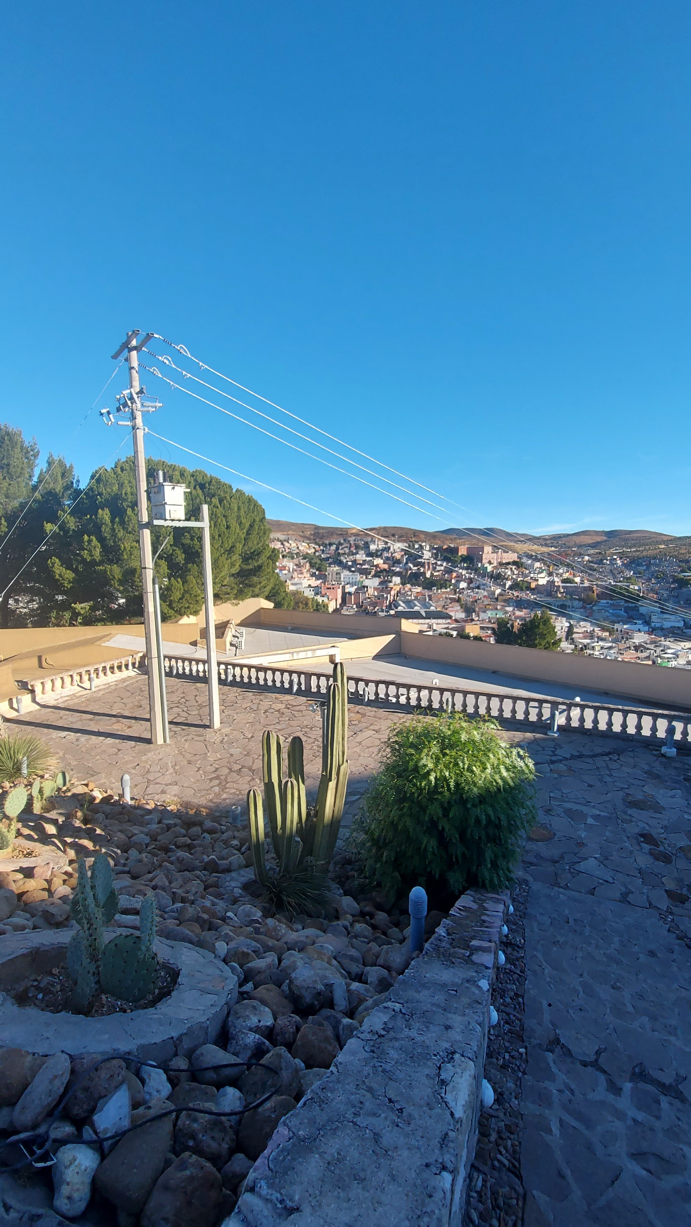Restaurante Santo Cabrito image 6