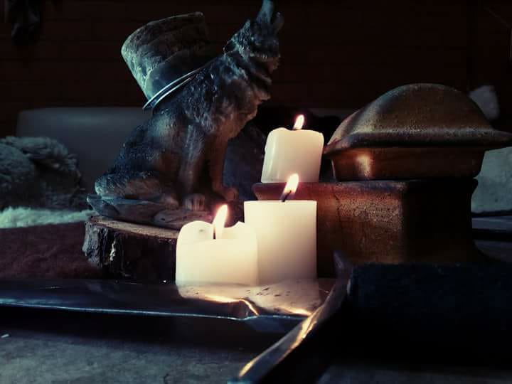 Kraken - Restaurante vikingo image 3