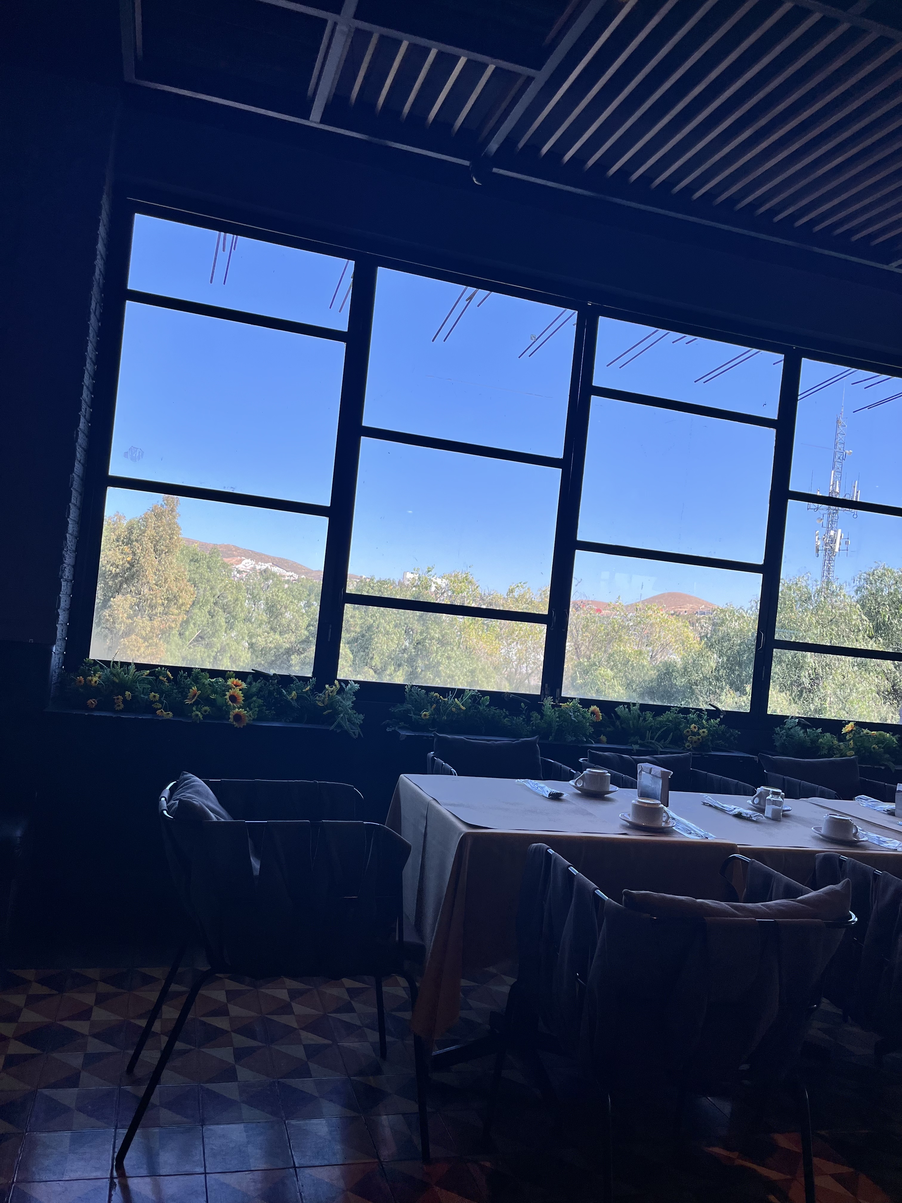 MAMA DOLORES La casa de la Arrachera image 8