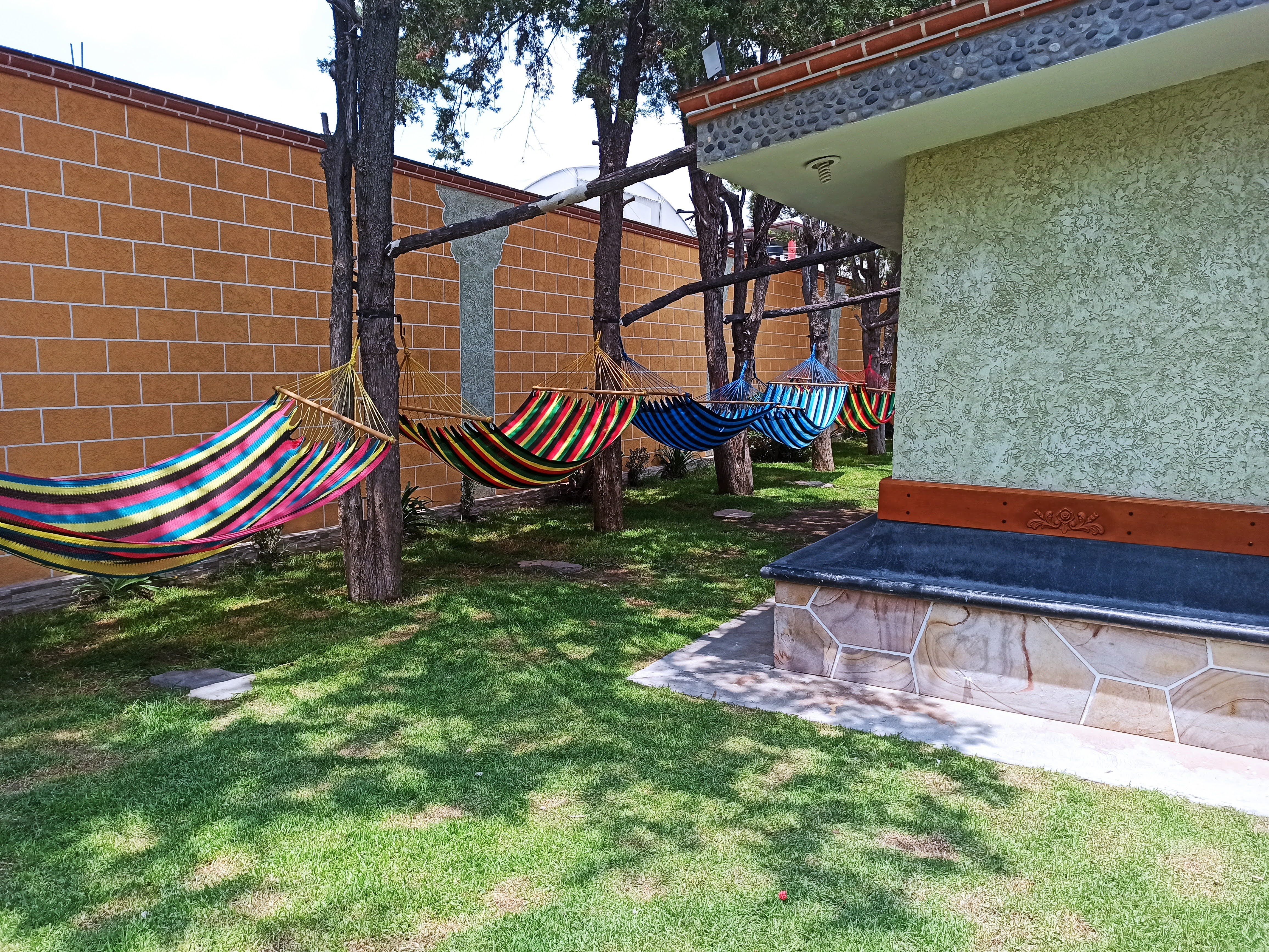 Restaurant-fiesta image 6