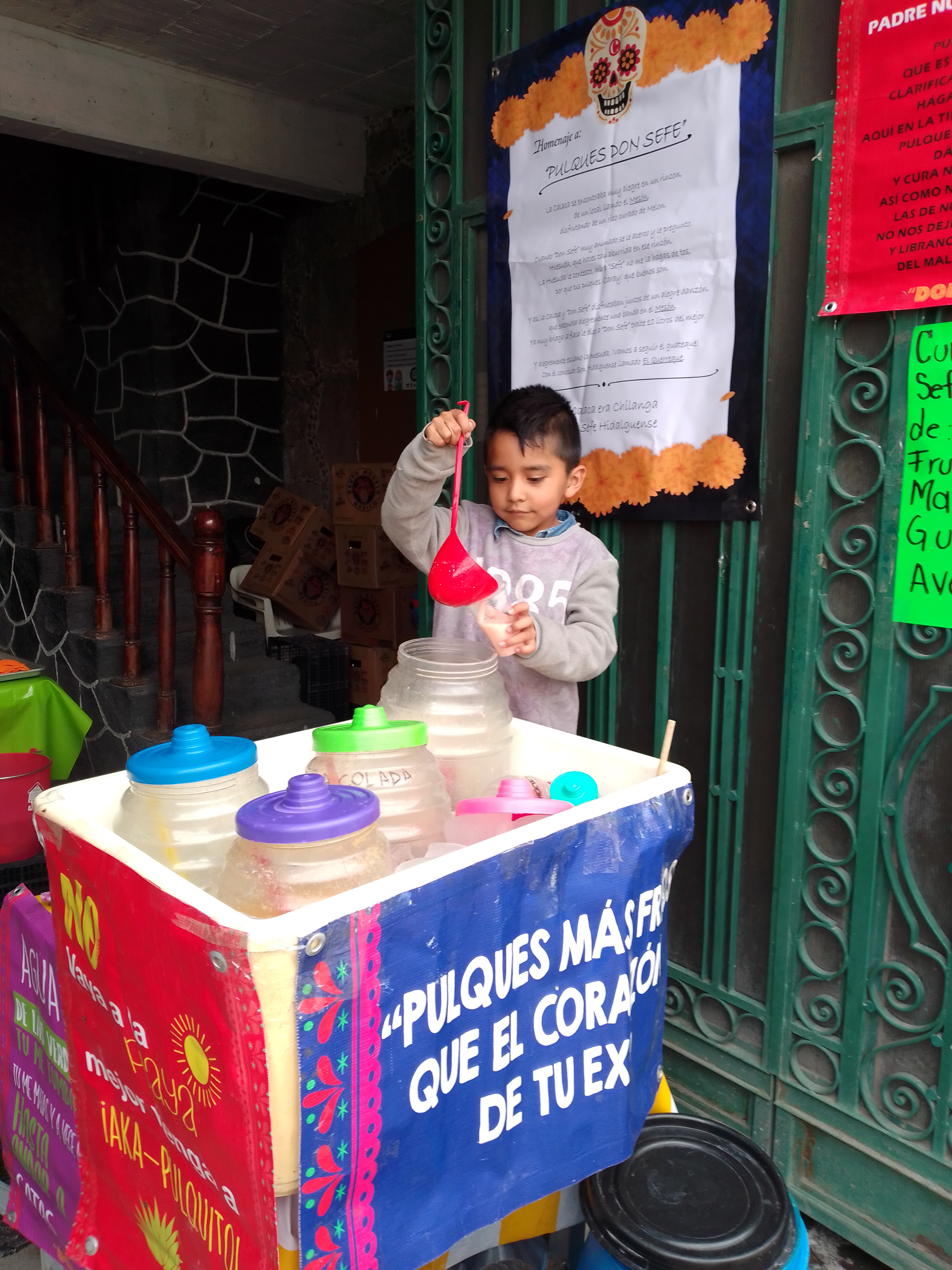 Pulques curados artesanales "Don sefe" image 1