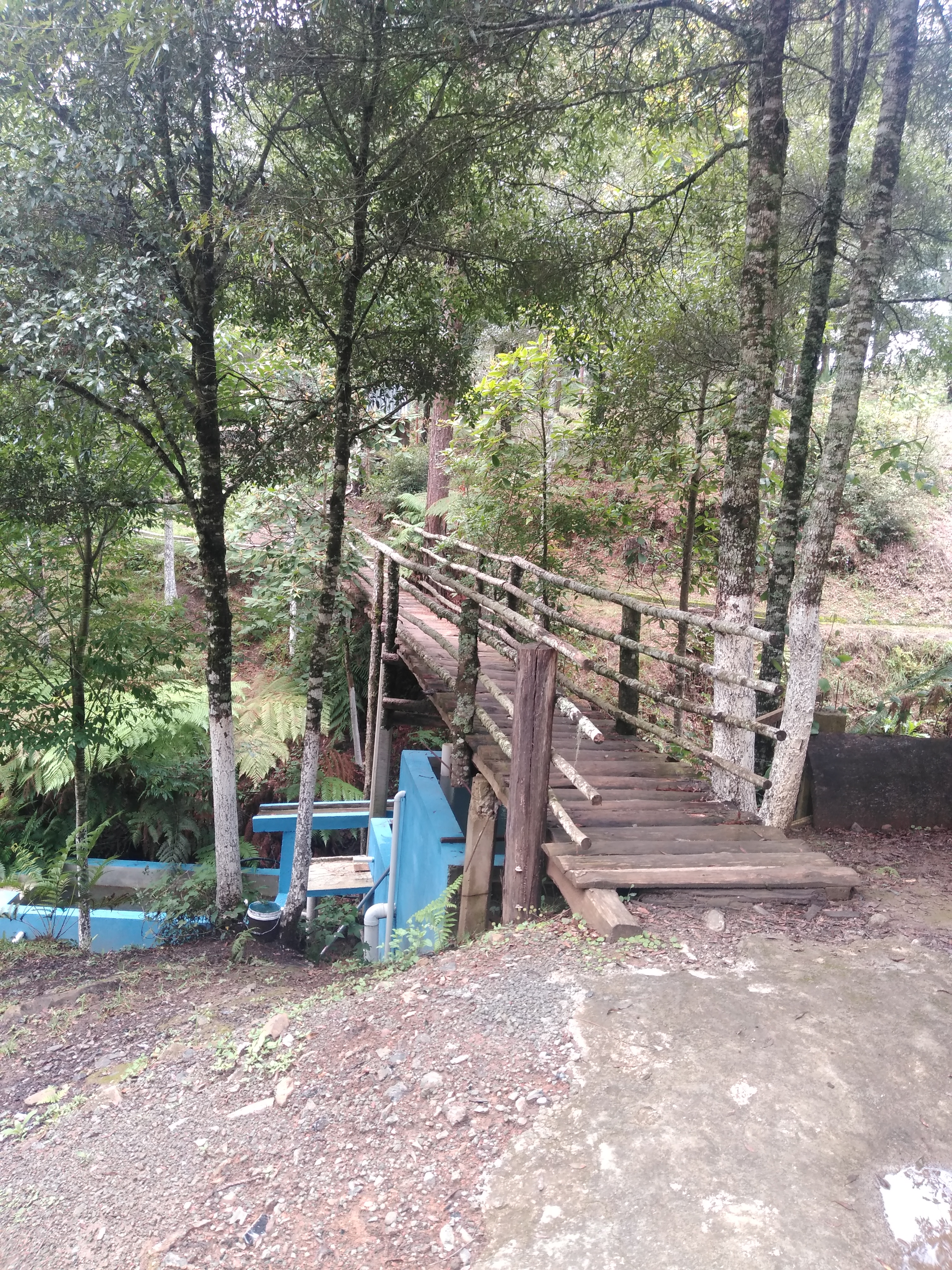 Restaurante Campestre El Paraíso image 5