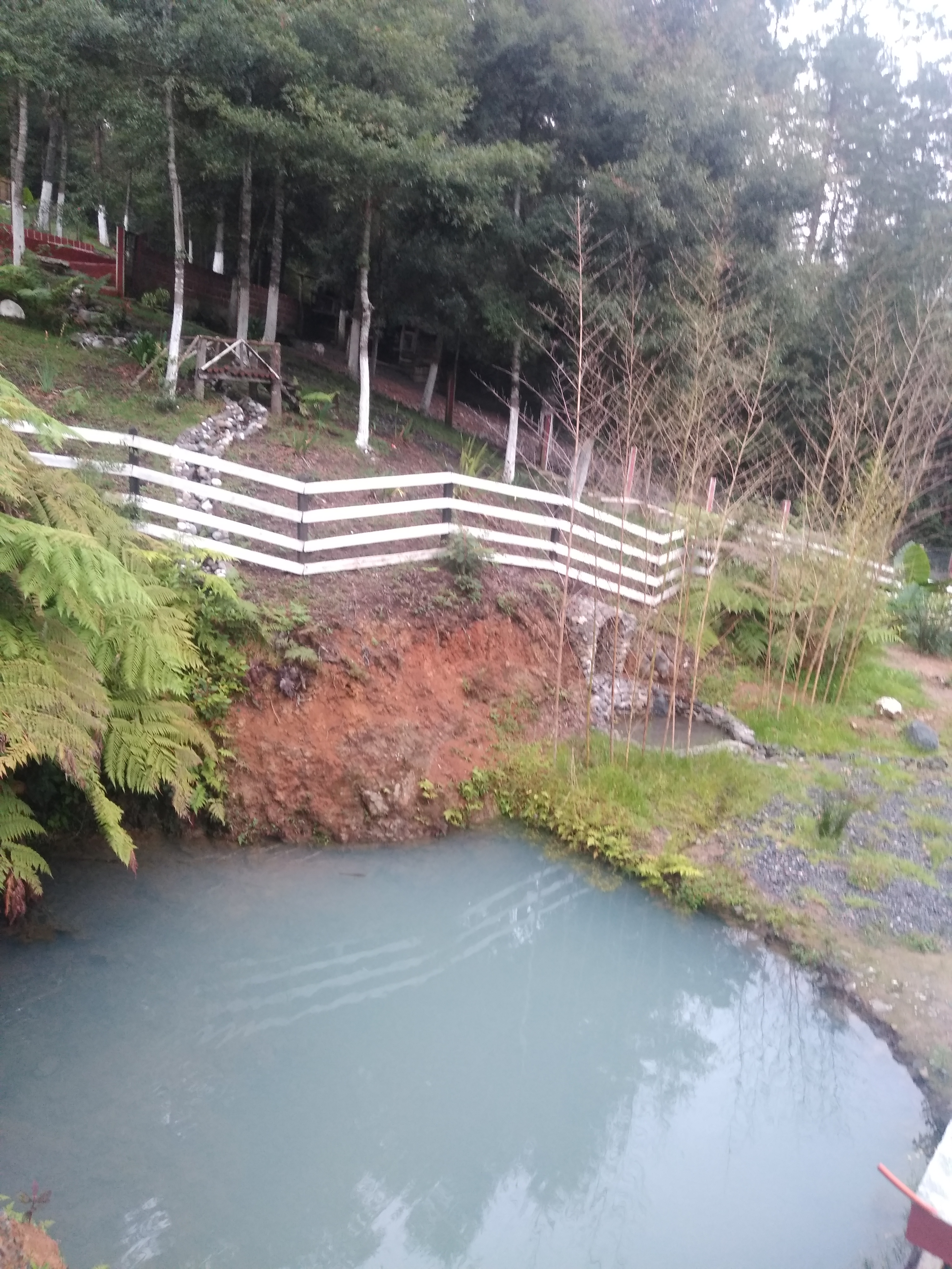 Restaurante Campestre El Paraíso image 9