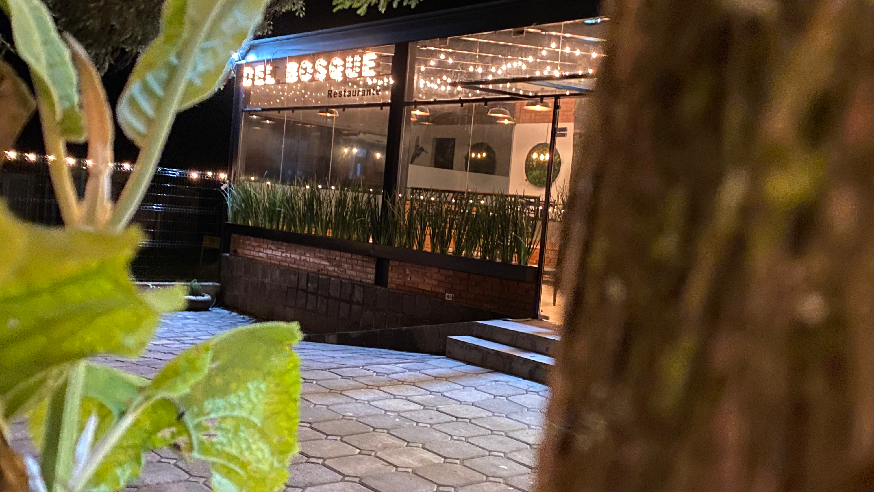 Del Bosque Restaurante image 1