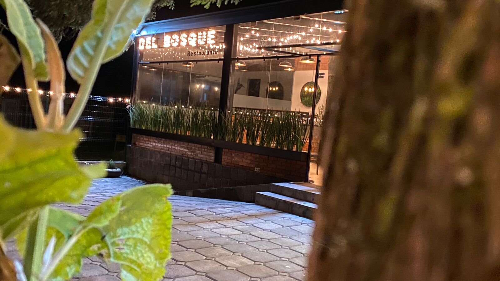 Del Bosque Restaurante image 1