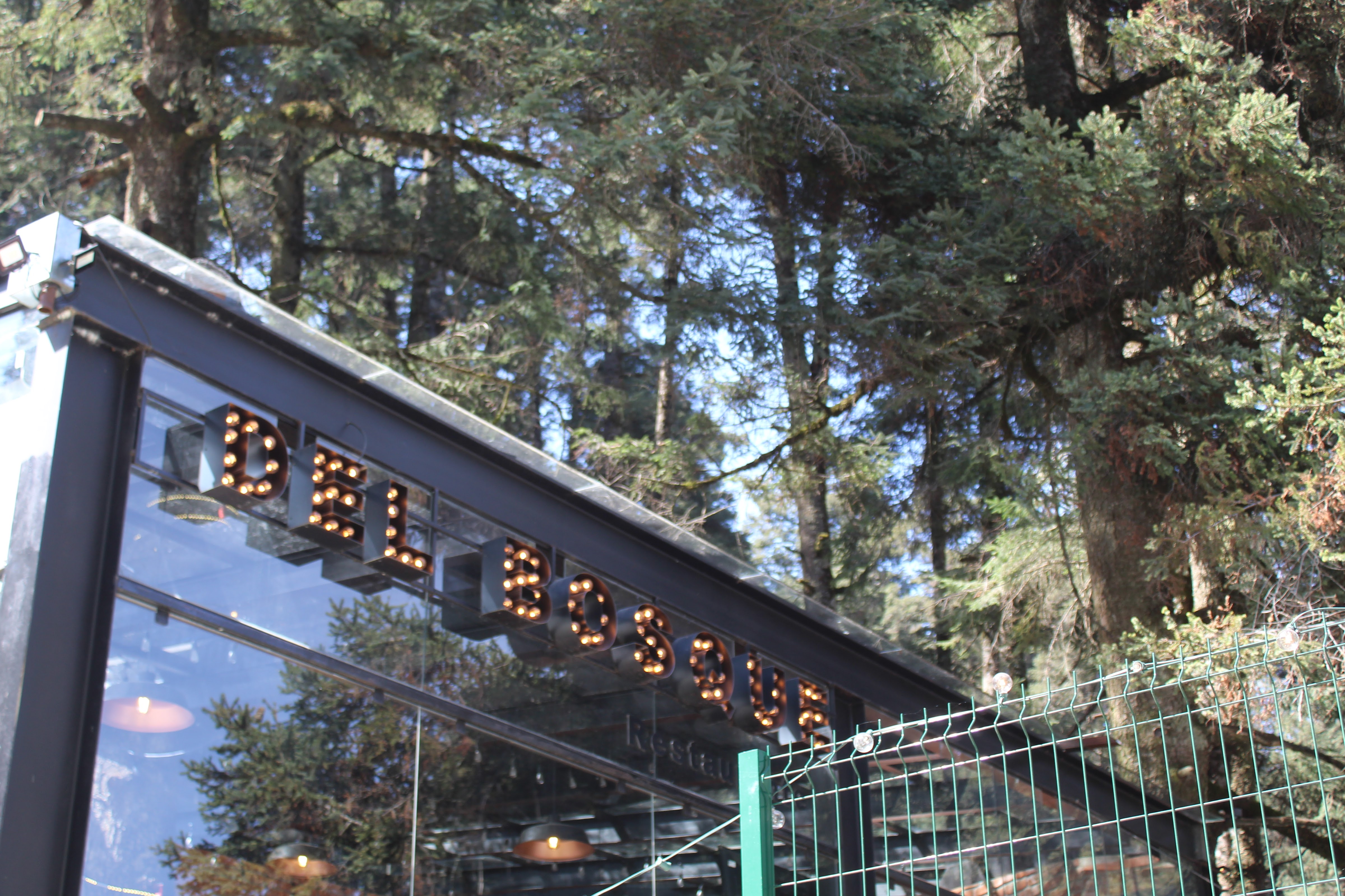 Del Bosque Restaurante image 8