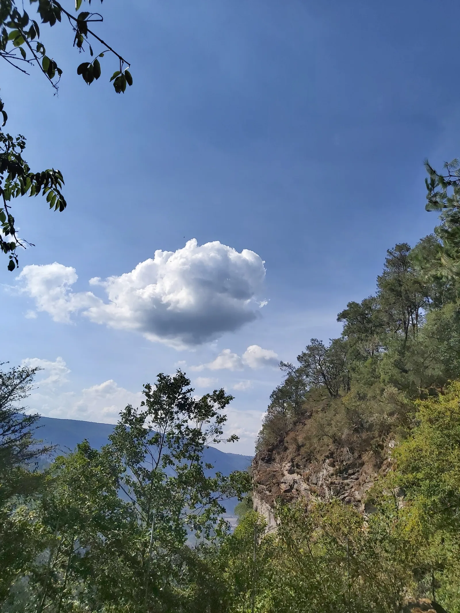 Truchas el cañon image 2