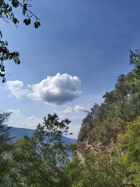 Truchas el cañon image 2