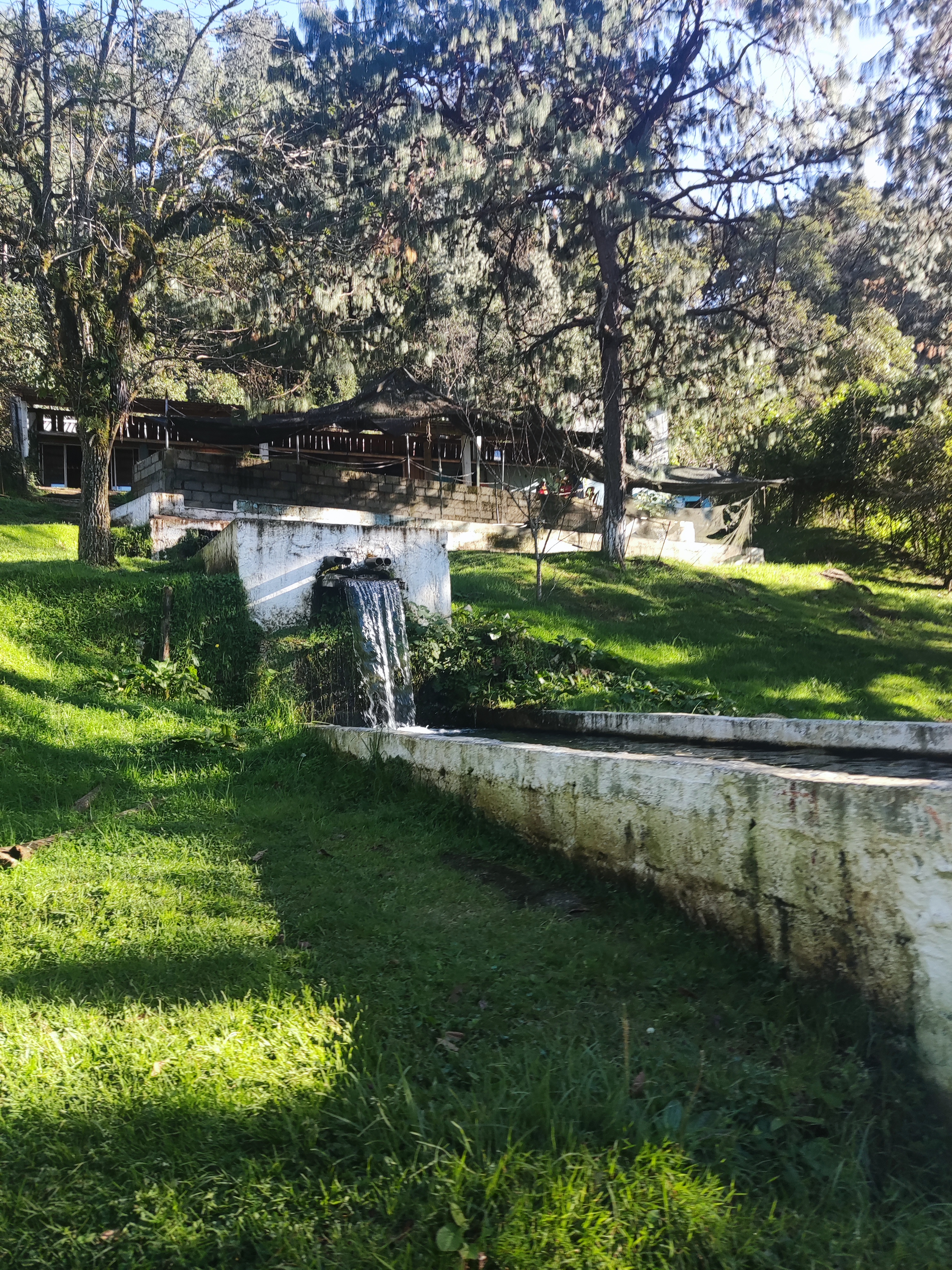 Truchas el cañon image 4