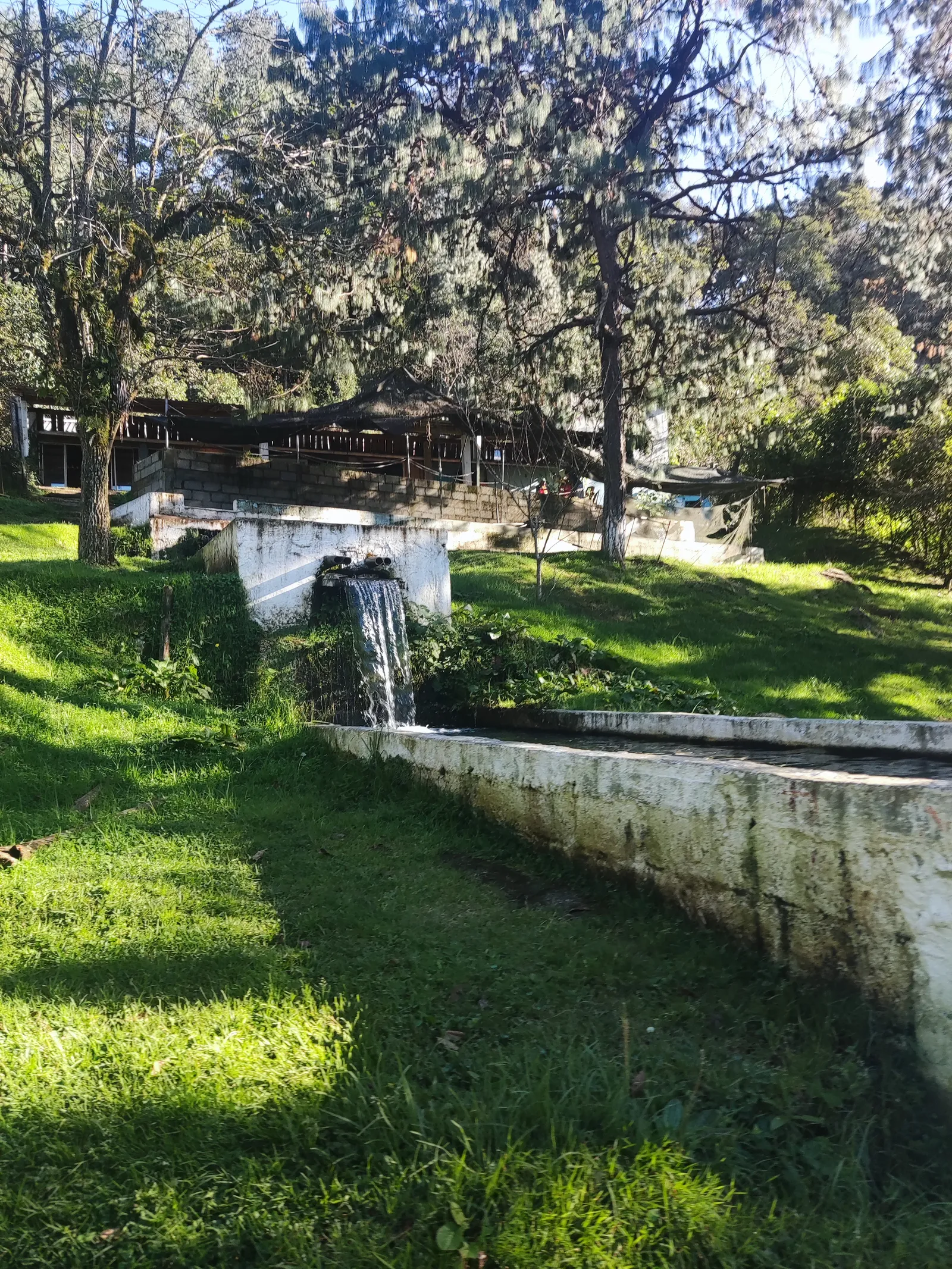 Truchas el cañon image 4