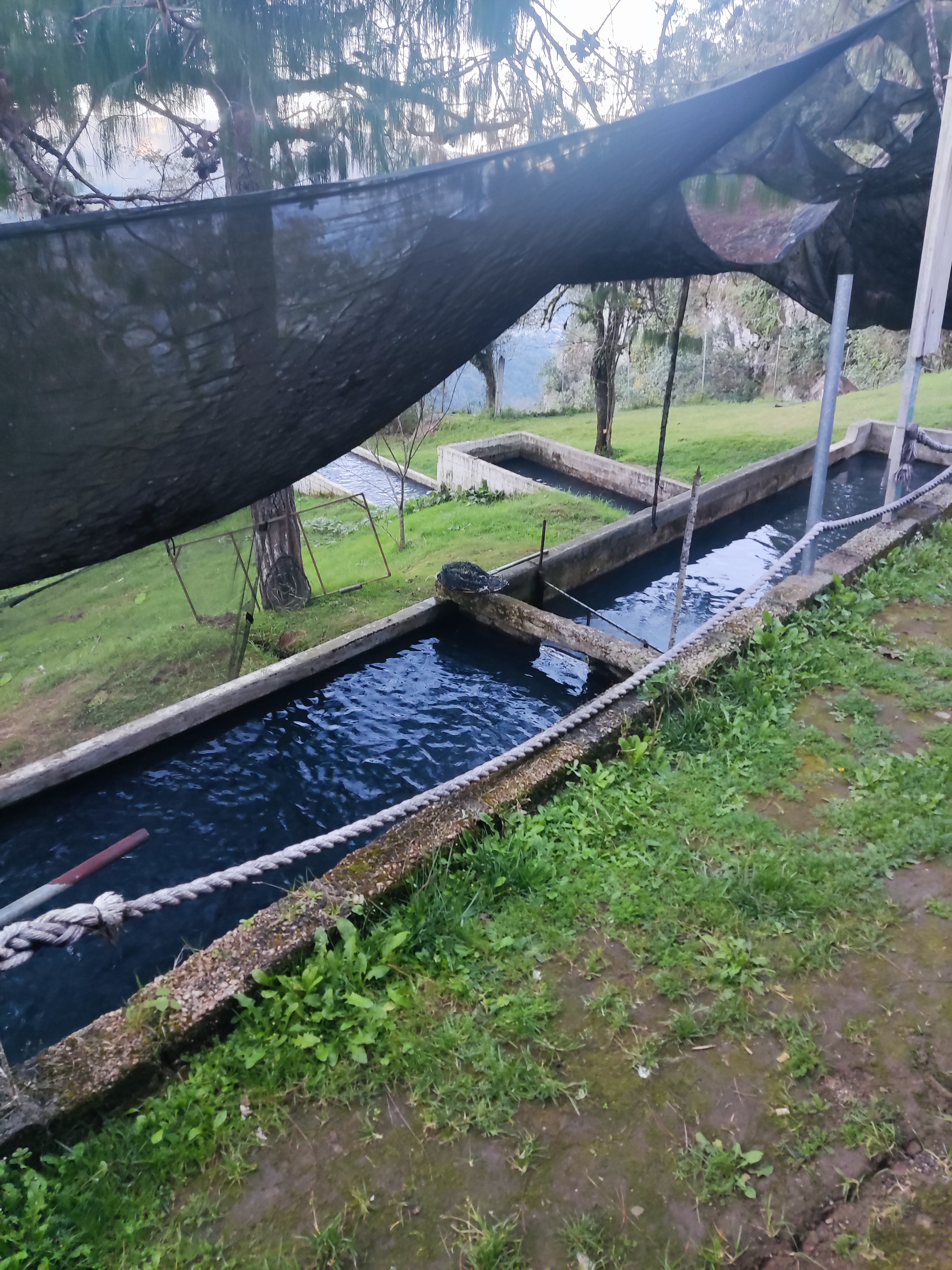 Truchas el cañon image 5