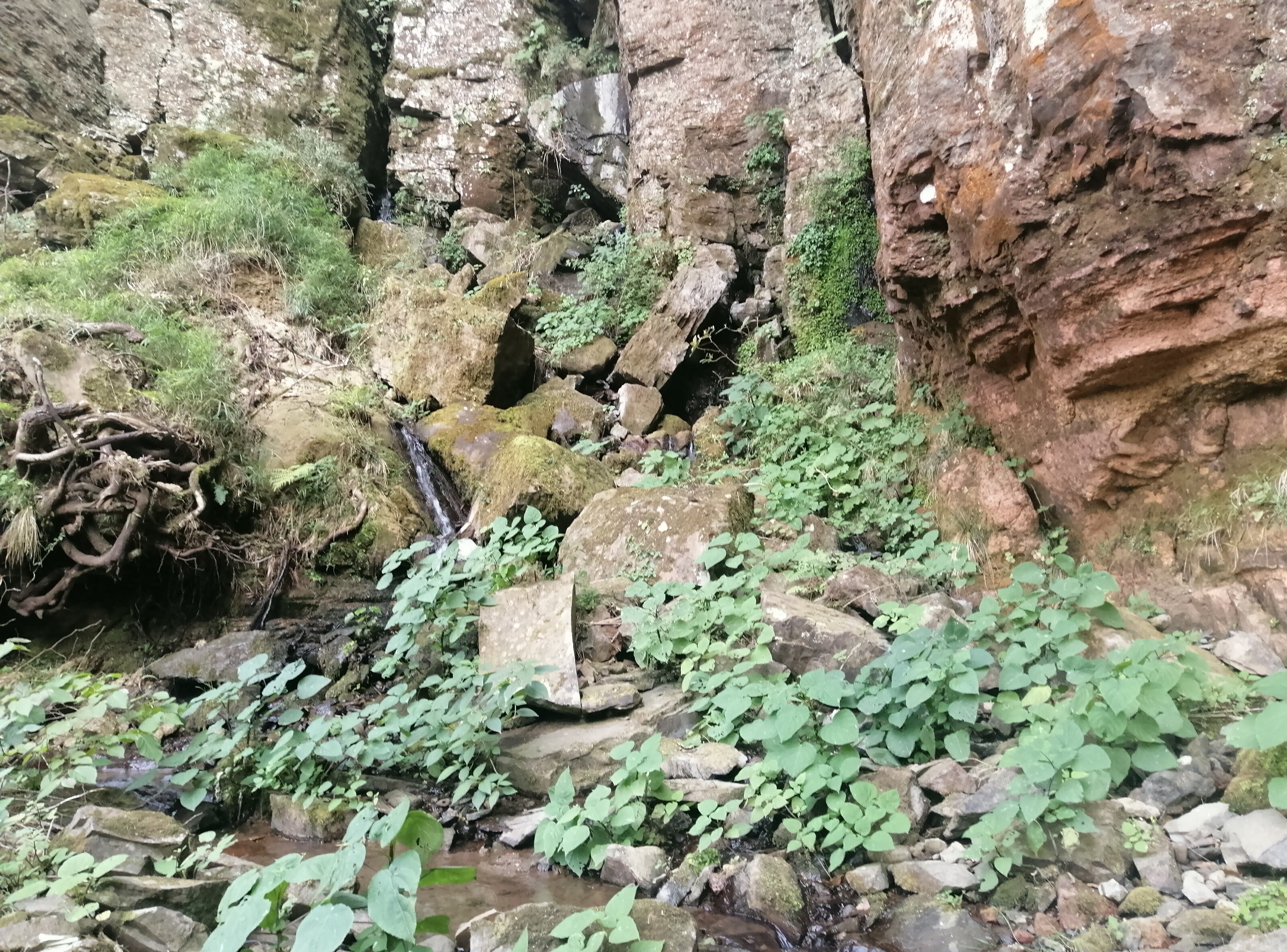 Truchas el cañon image 6