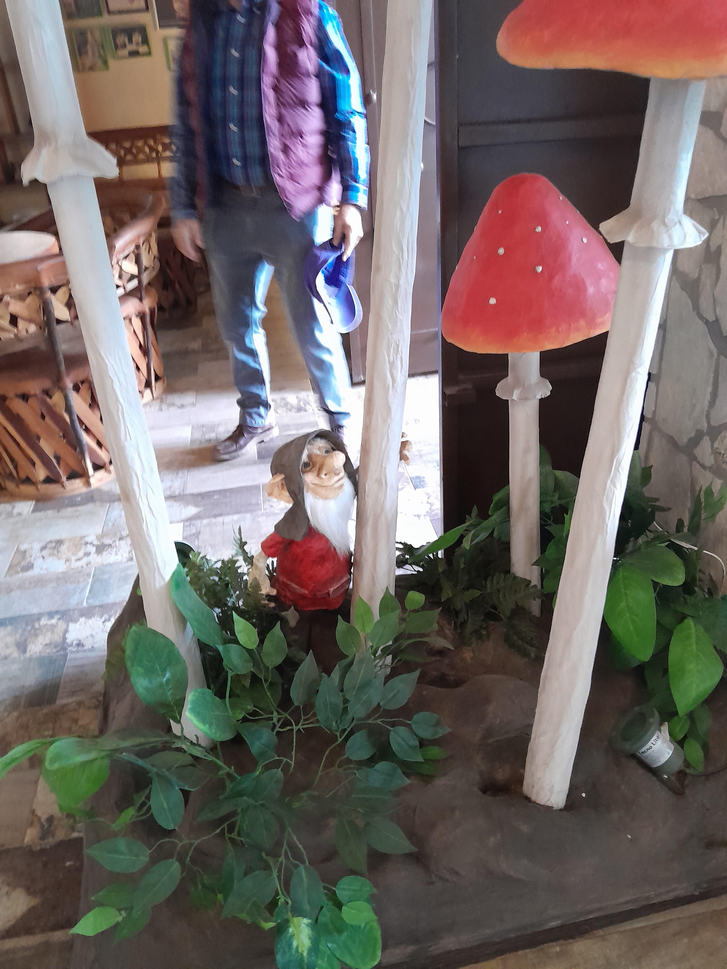 Restaurant El Duende image 5