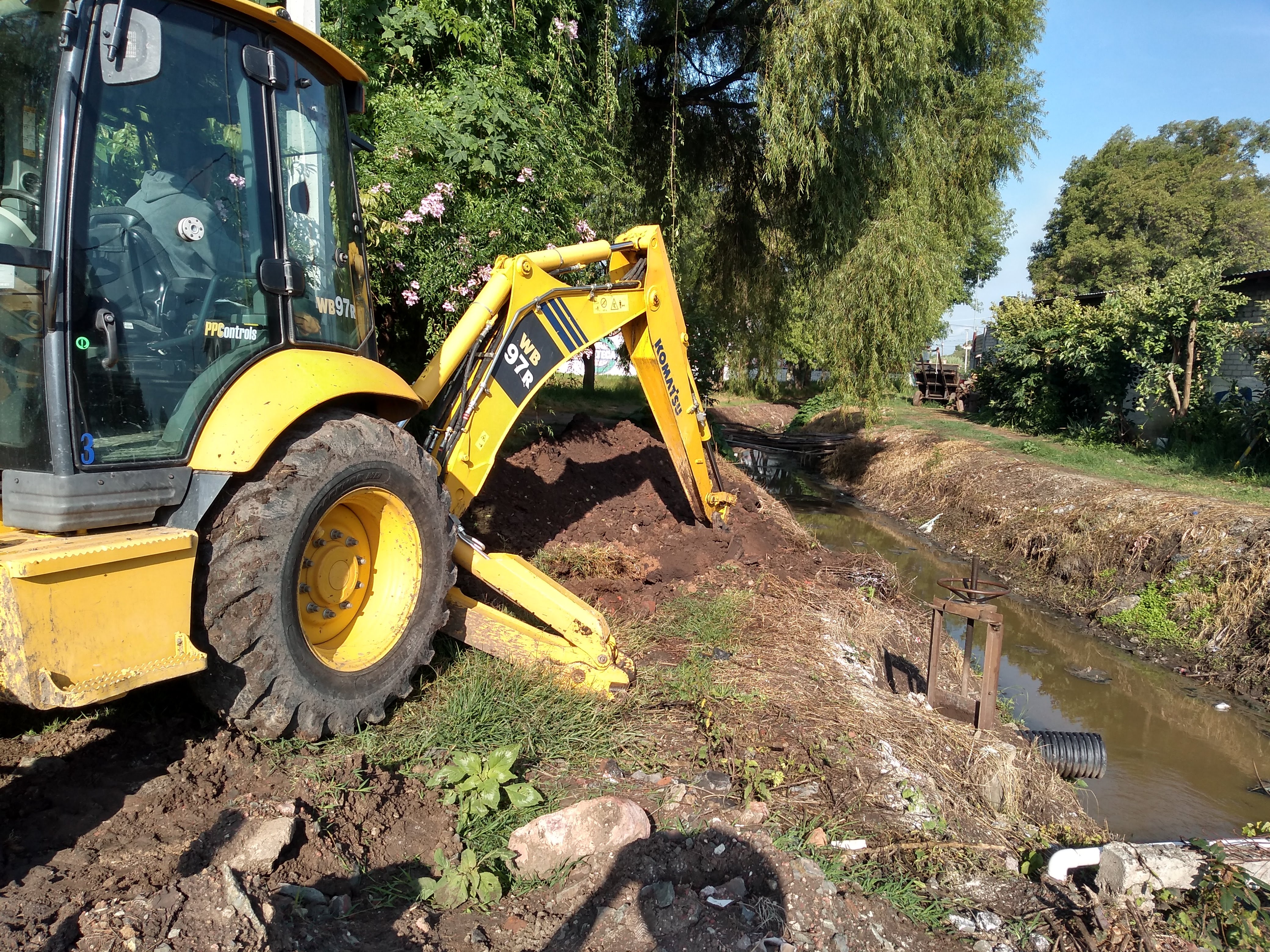 El cactus restaurante image 7