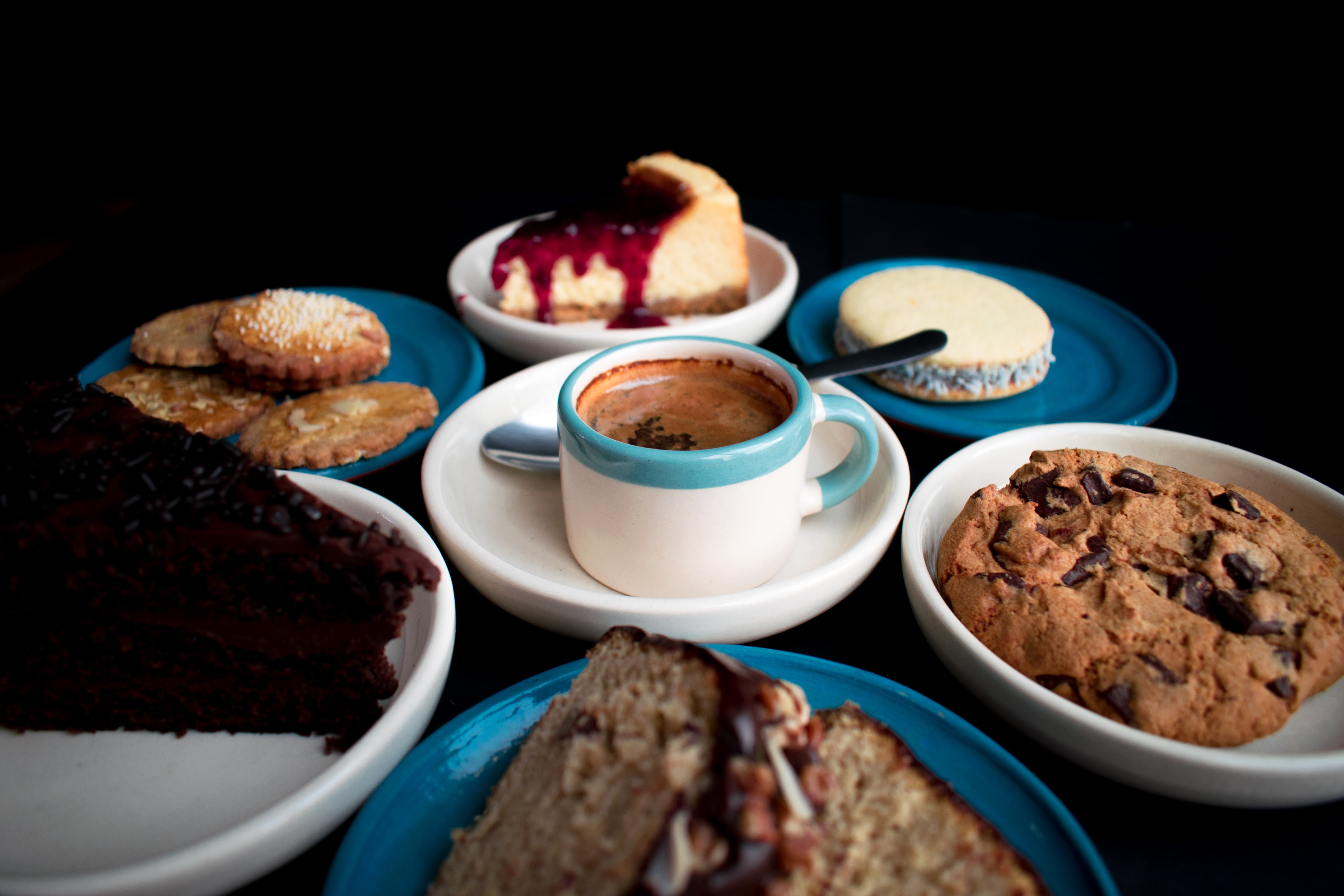 Hickory Morelia image 7