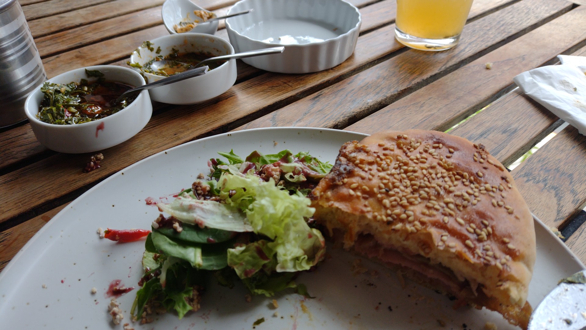 Hickory Morelia image 10