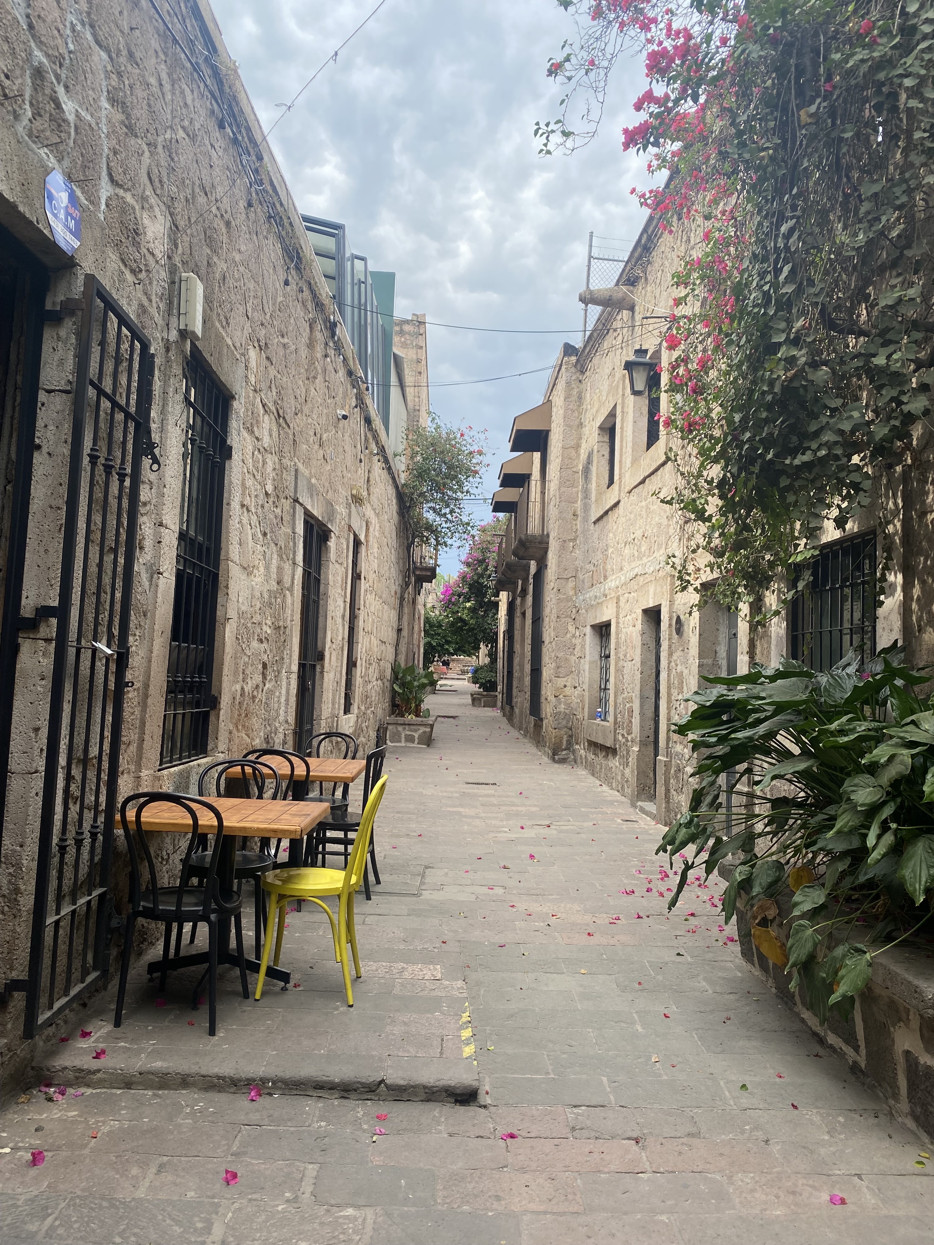 Pasta & Pasto image 6