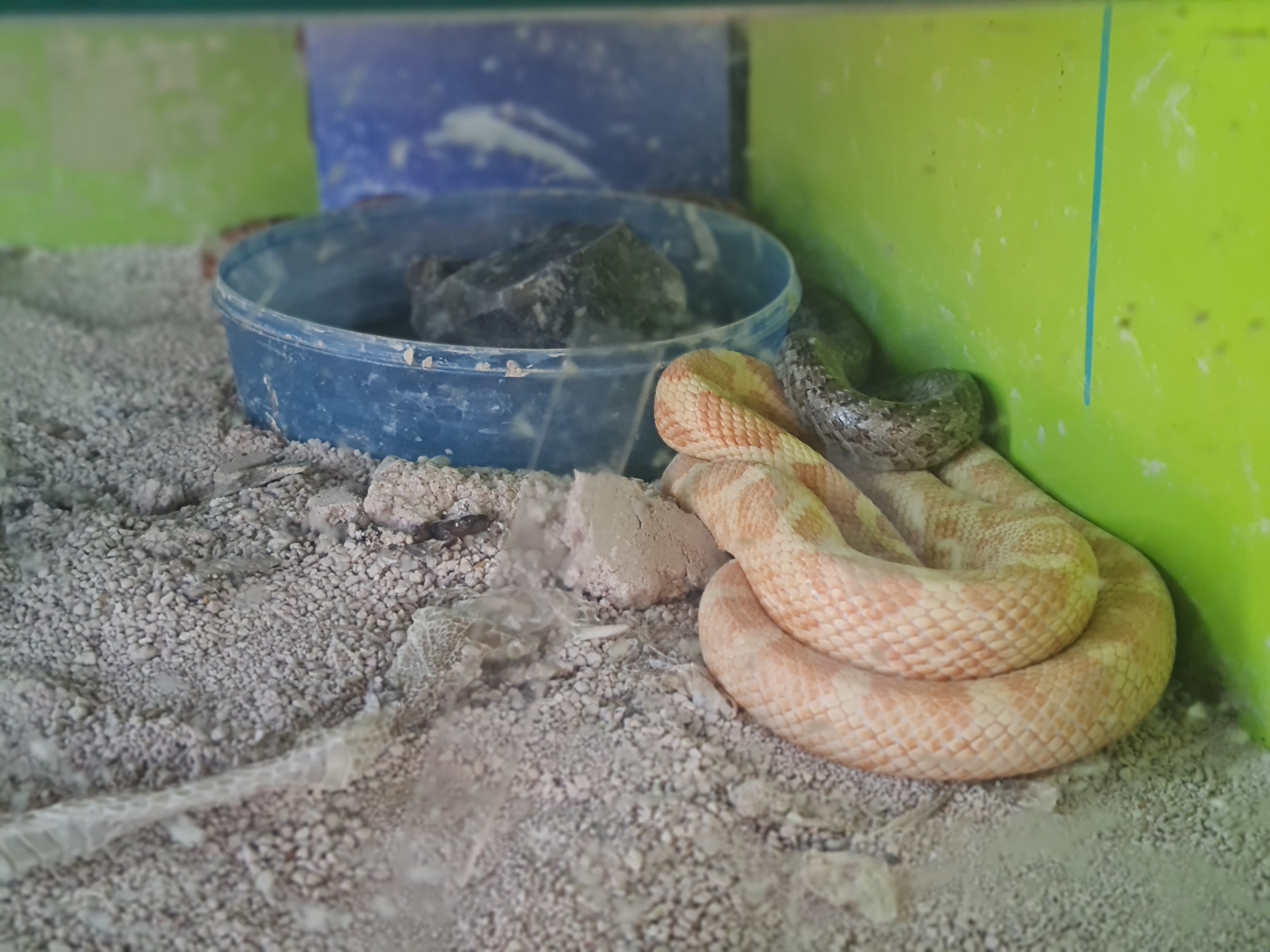 Restaurante El Brujo image 9