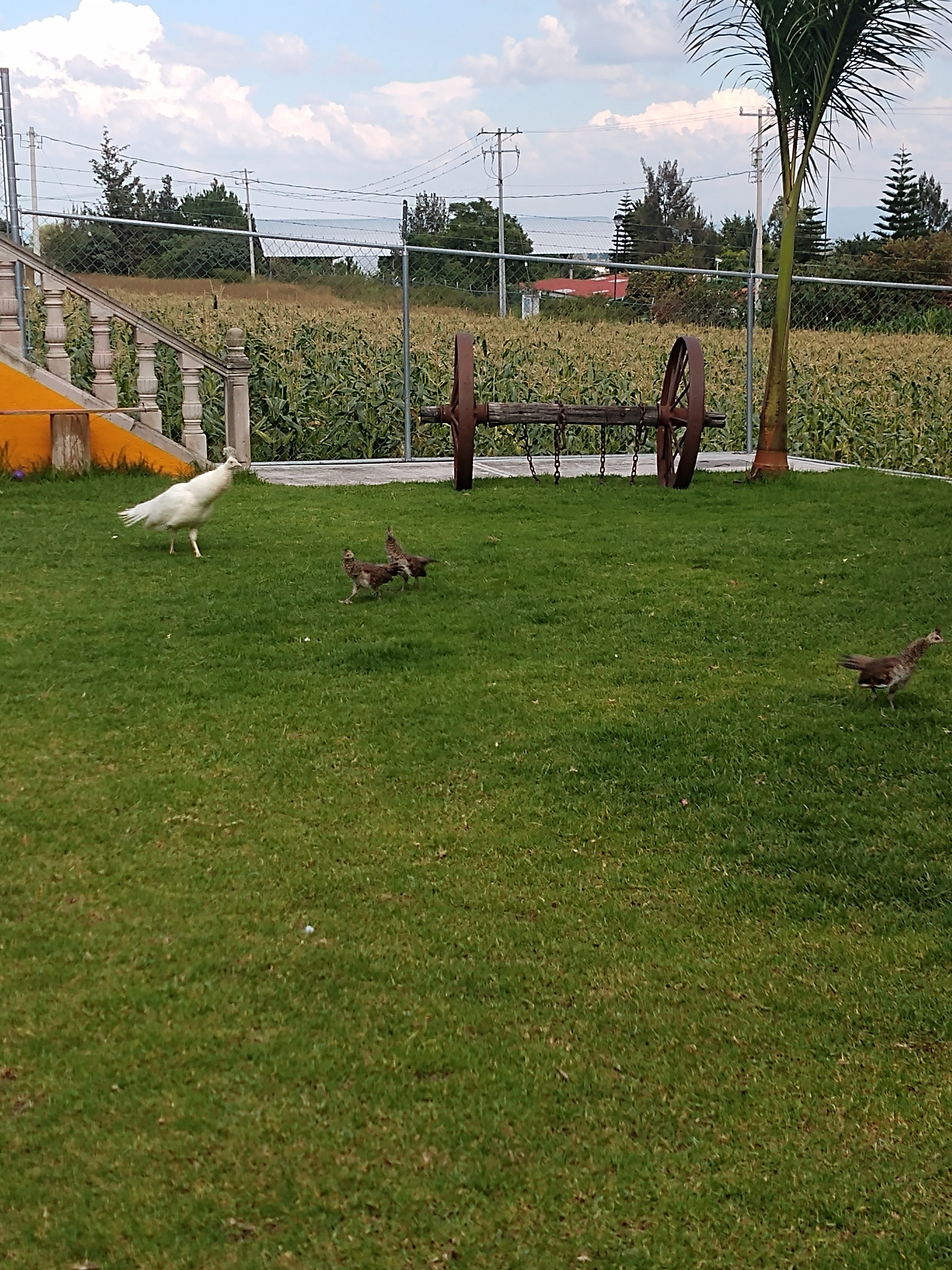 Restaurant El Ejido image 5