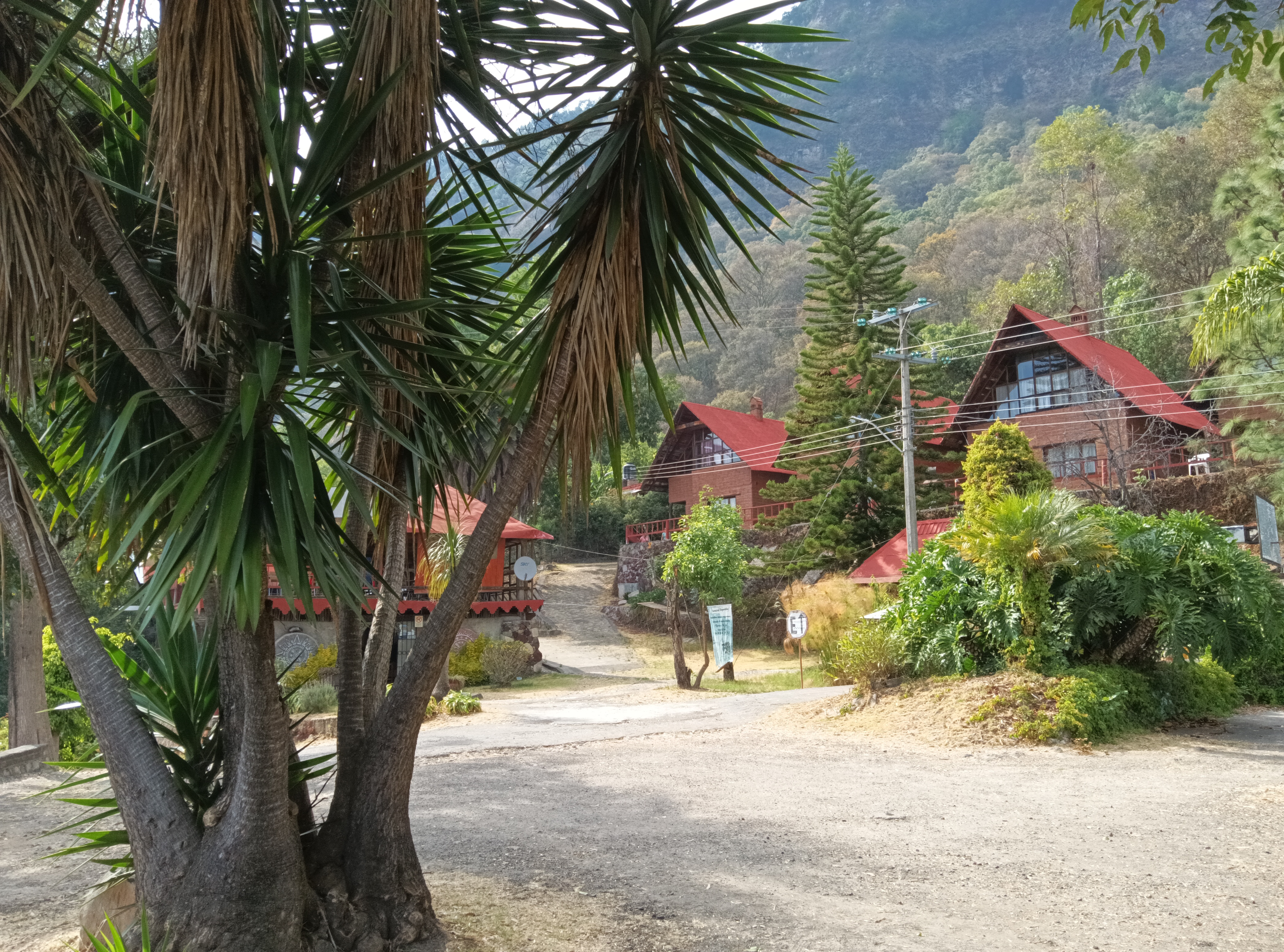 Restaurante EL VENA'O image 3