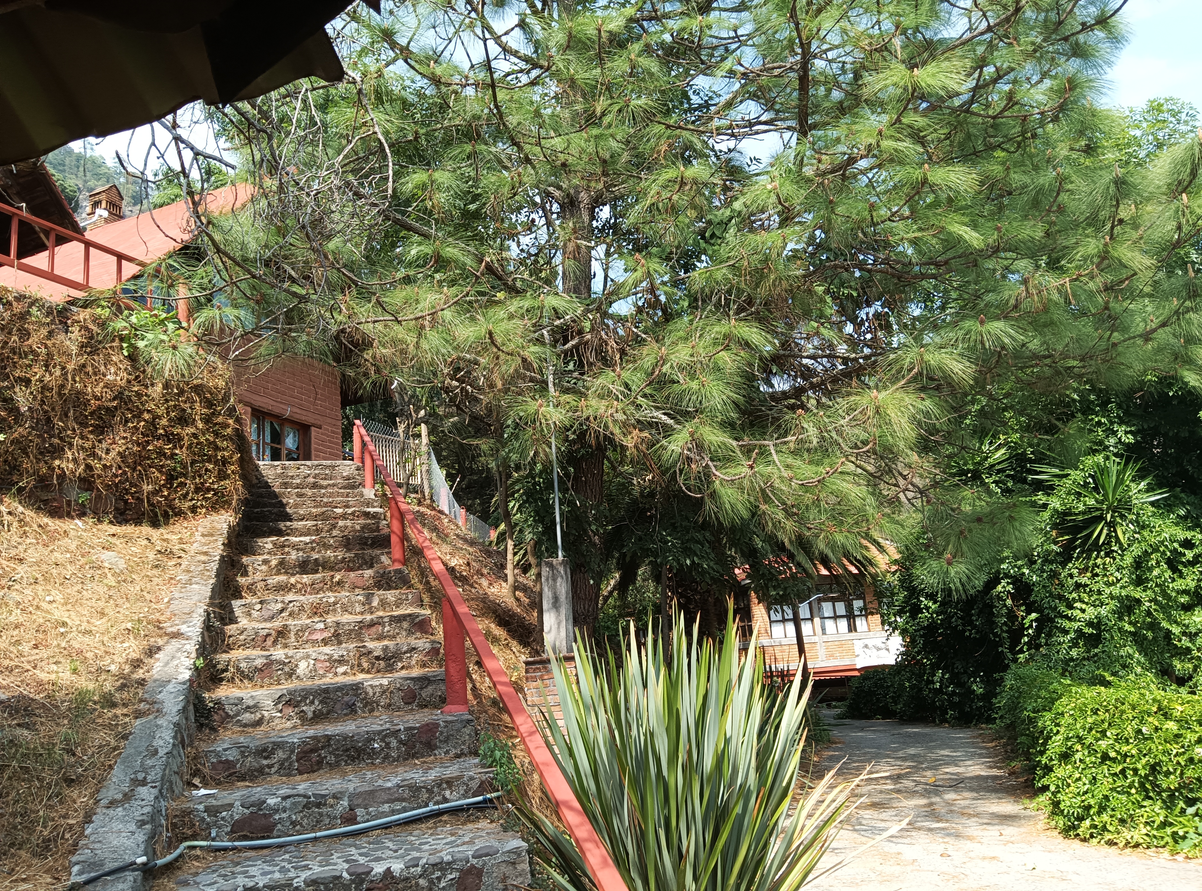 Restaurante EL VENA'O image 4