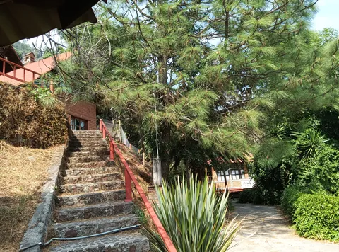 Restaurante EL VENA'O image 4