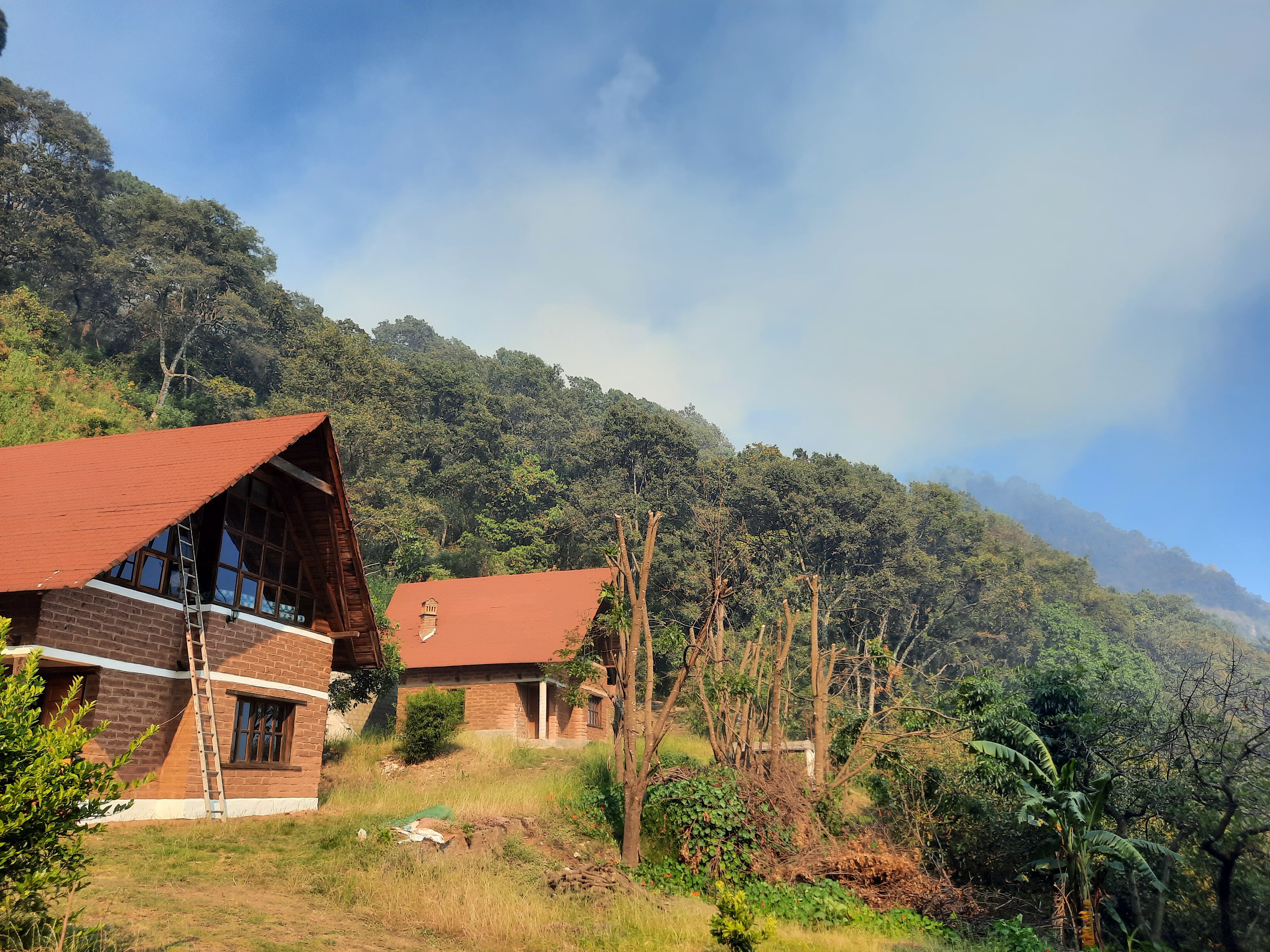 Restaurante EL VENA'O image 5