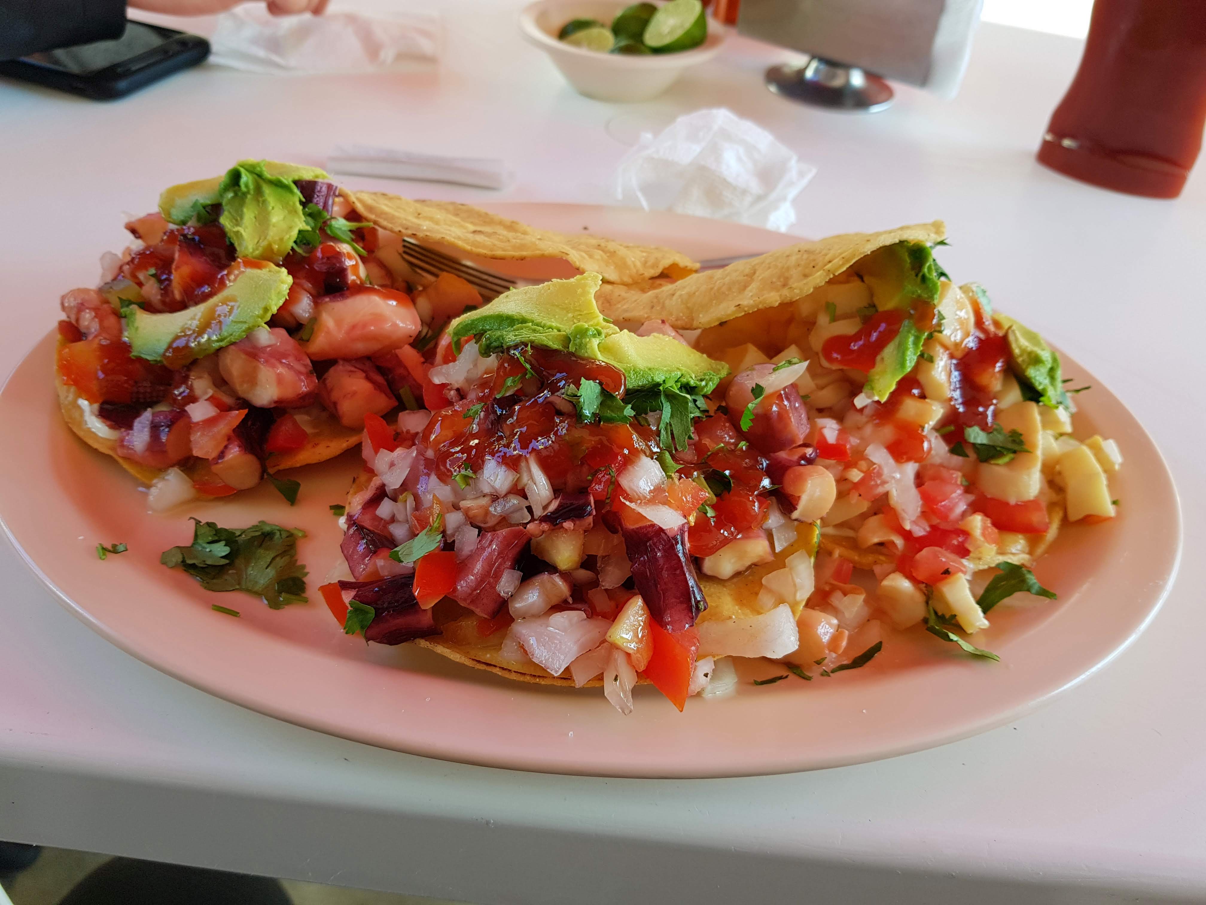 La Barrita Jarocha image 7