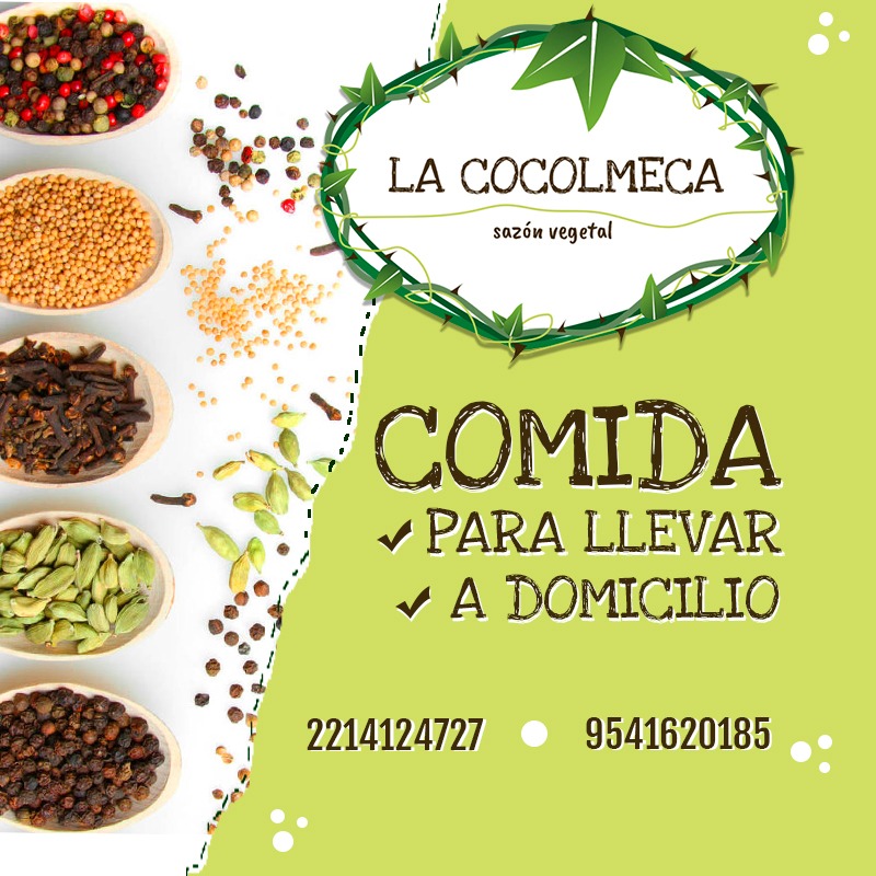 La Cocolmeca image 2