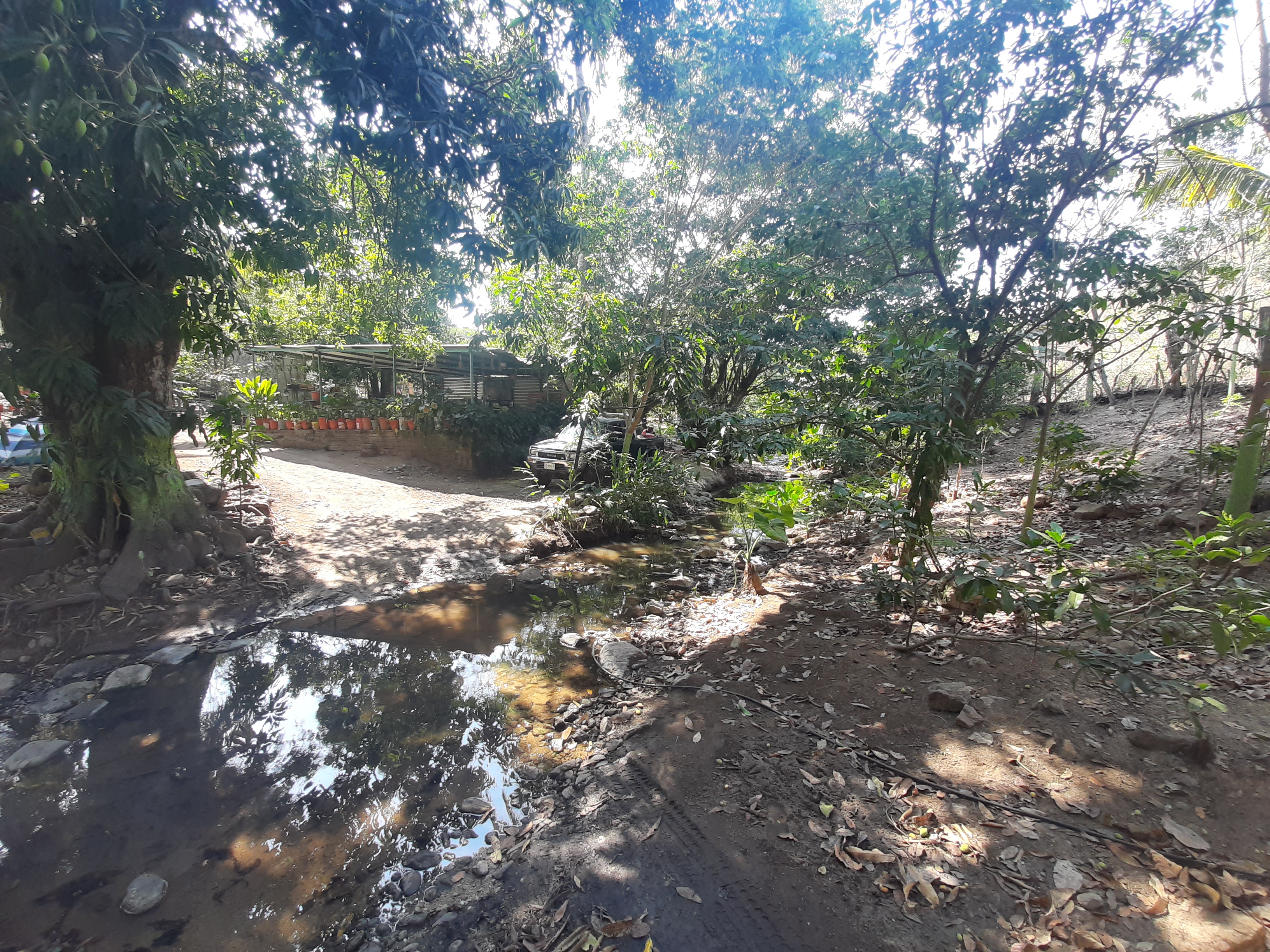Restaurant Bar El Paso Del Jordan image 8