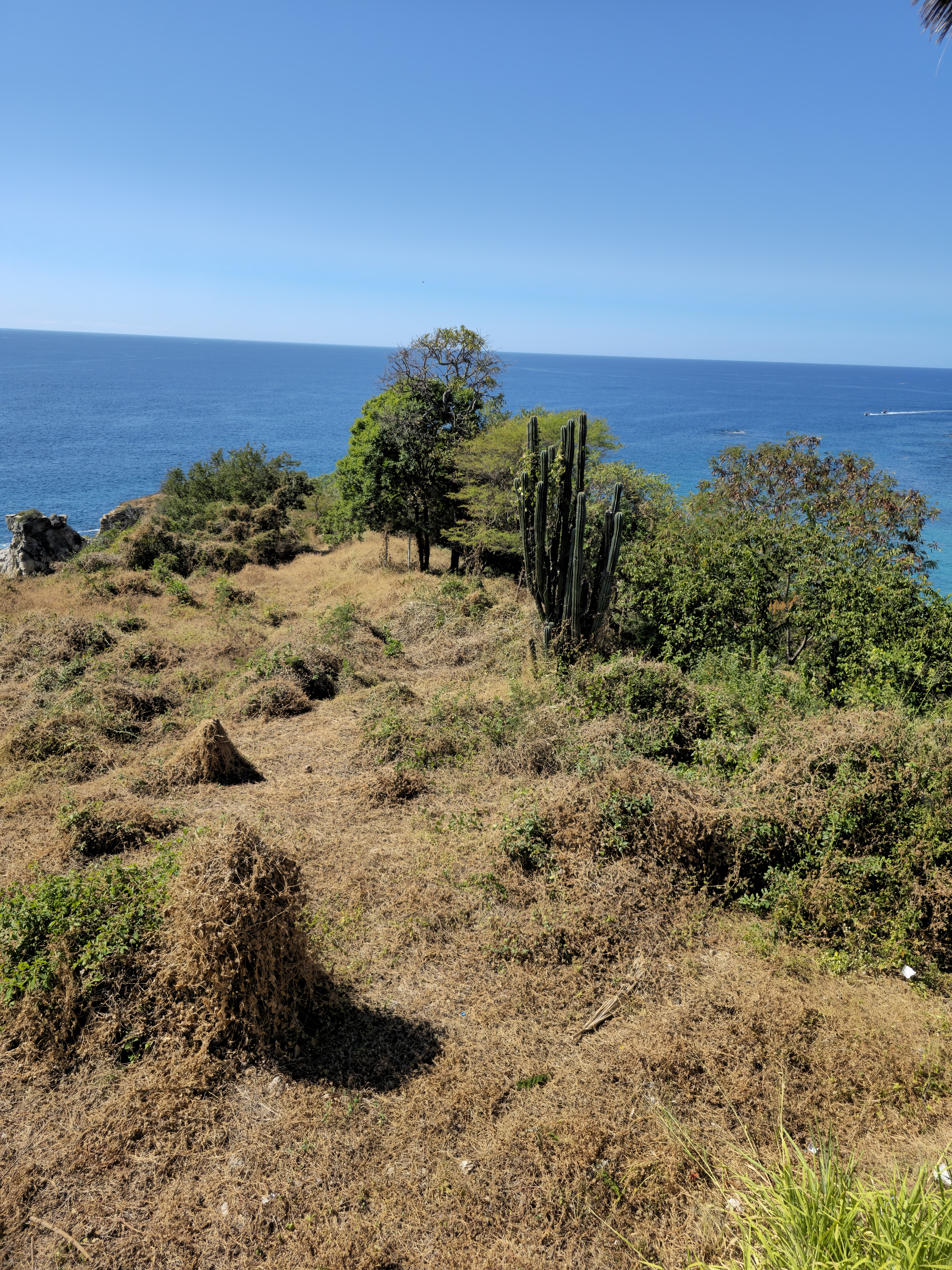 Espadín Restaurante image 10