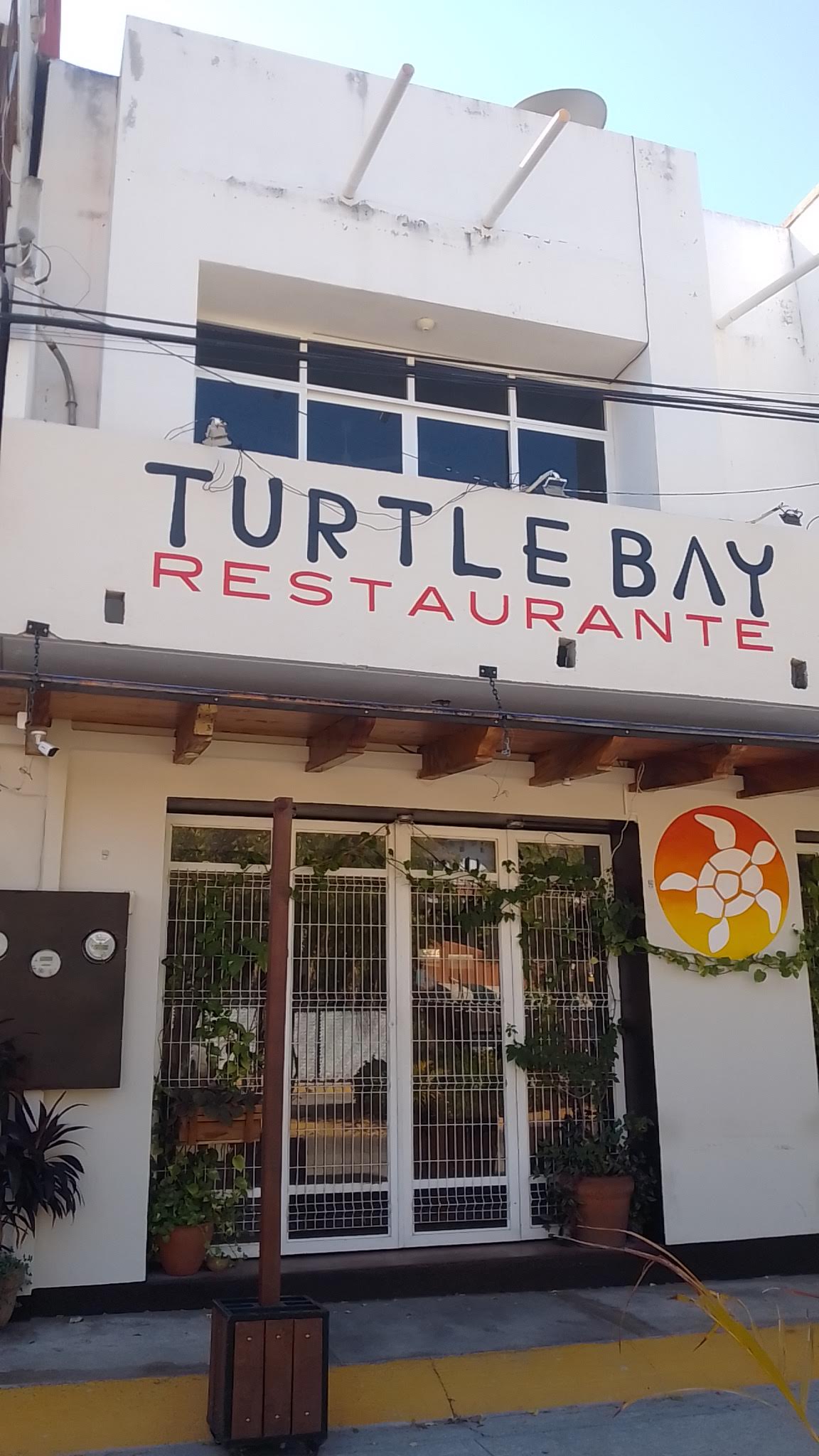 Turtle Bay image 3
