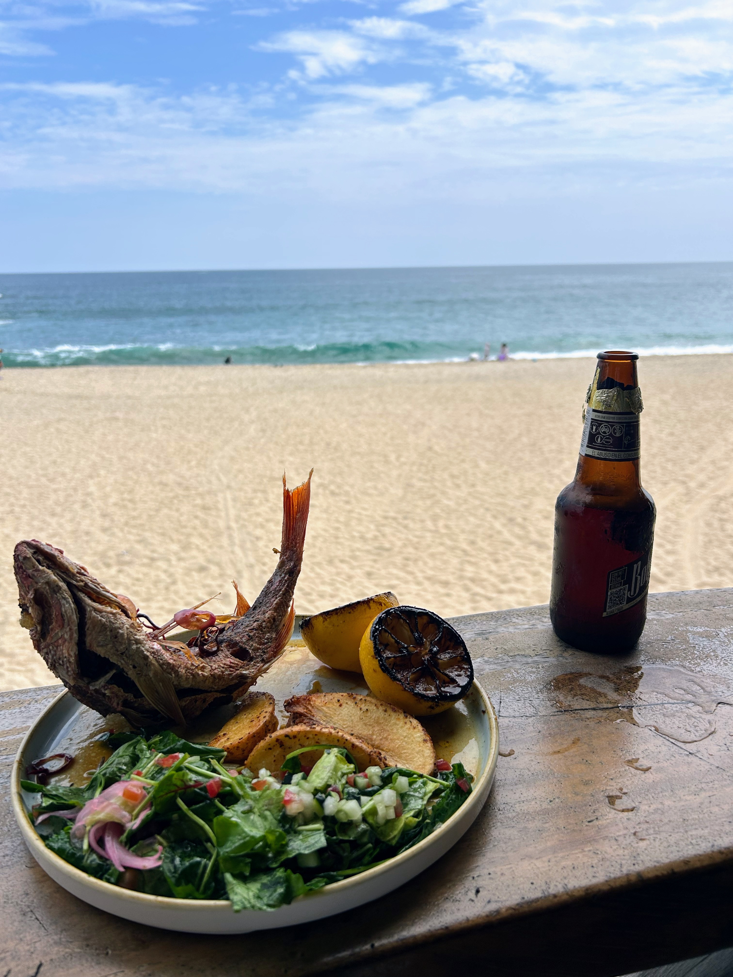 Restaurante Pez Gallo image 6