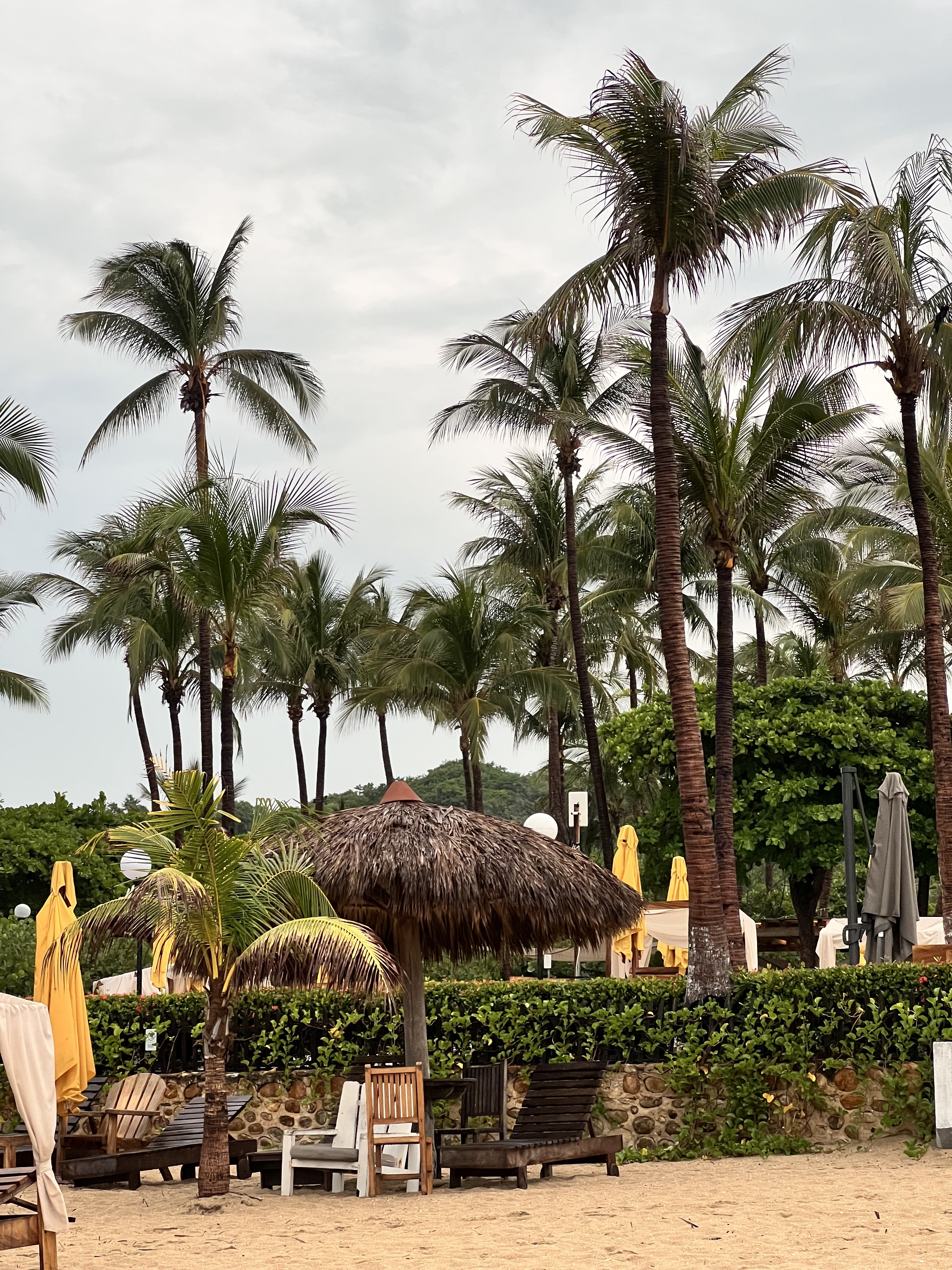 Restaurante Pez Gallo image 7