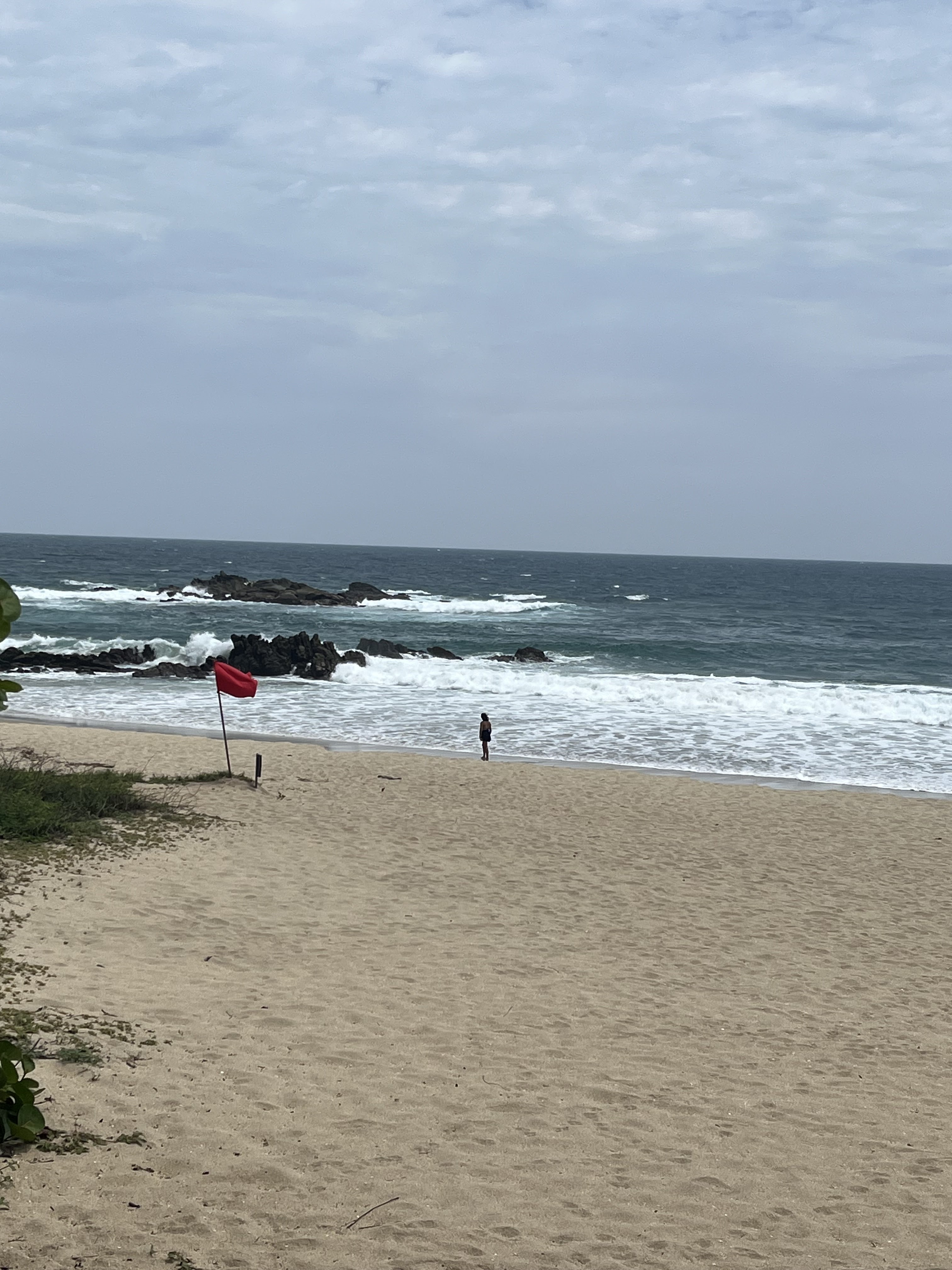 Restaurante Pez Gallo image 9