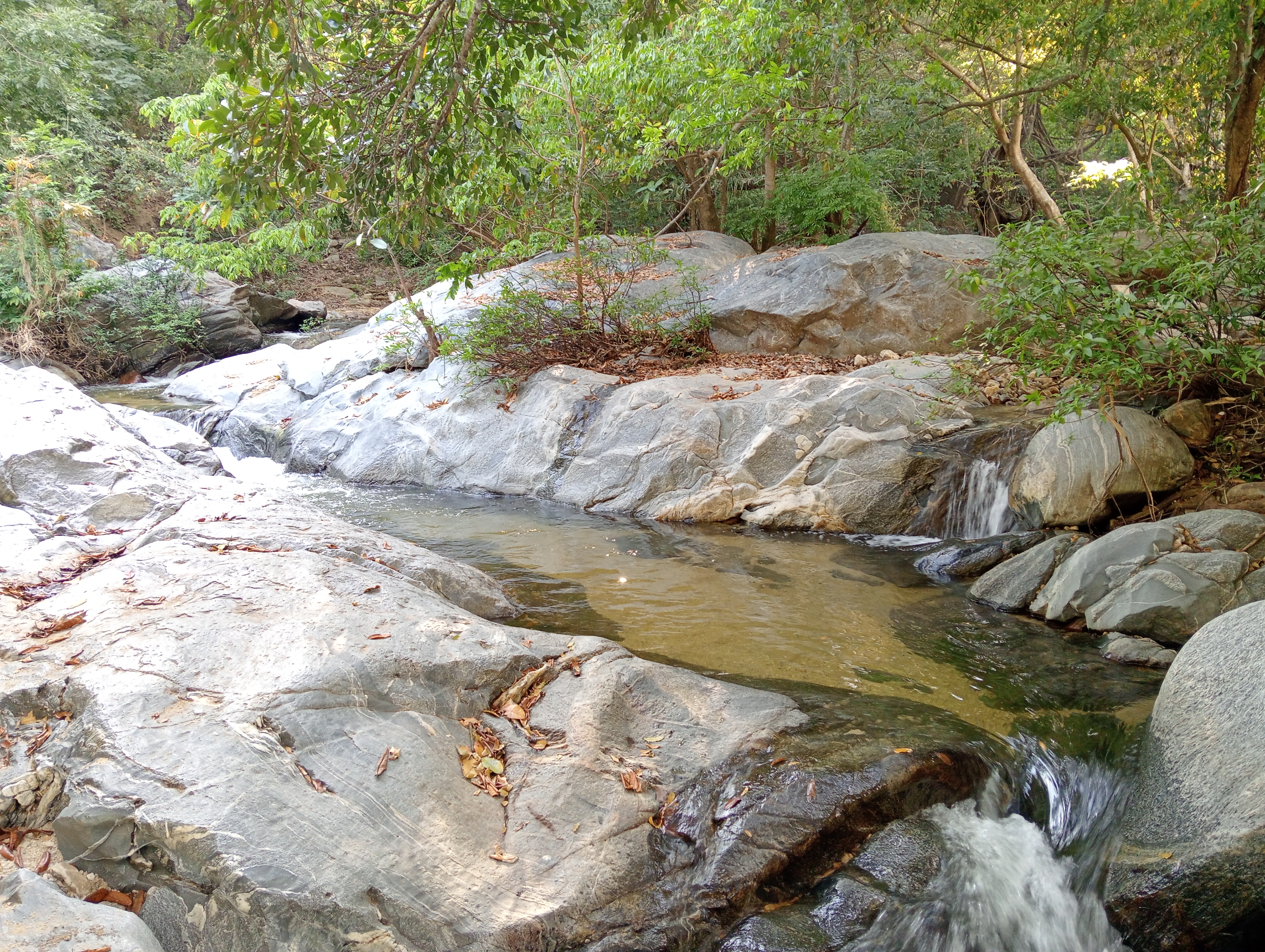 Restaurante La Rivera image 4