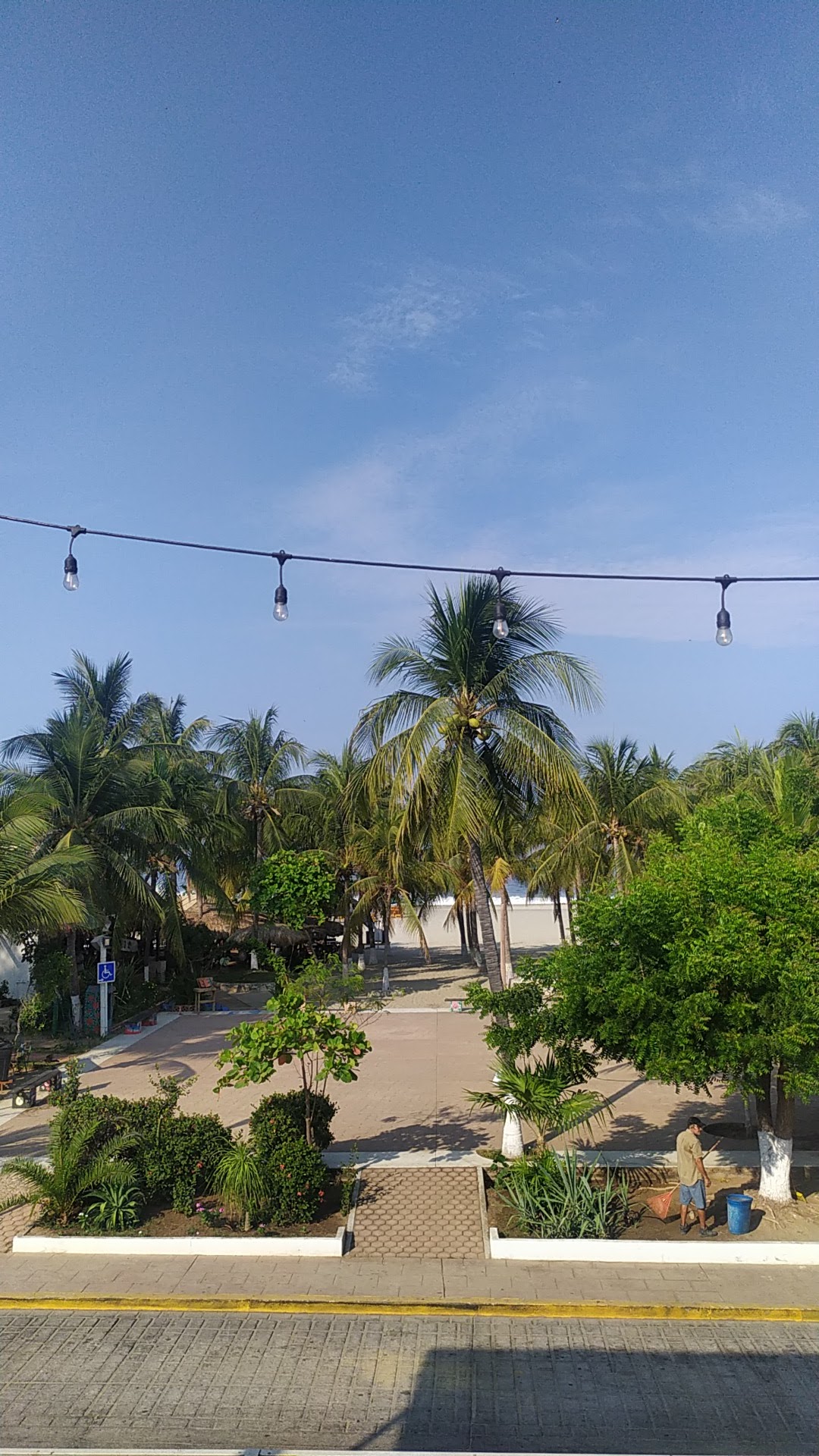 Bambú Restaurant-Bar image 8