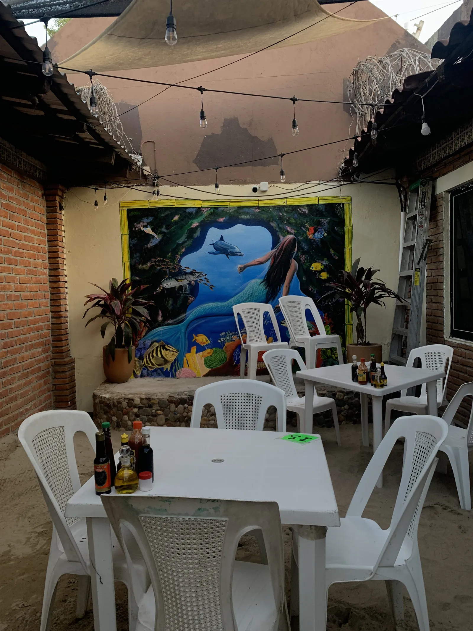 La Morena image 1