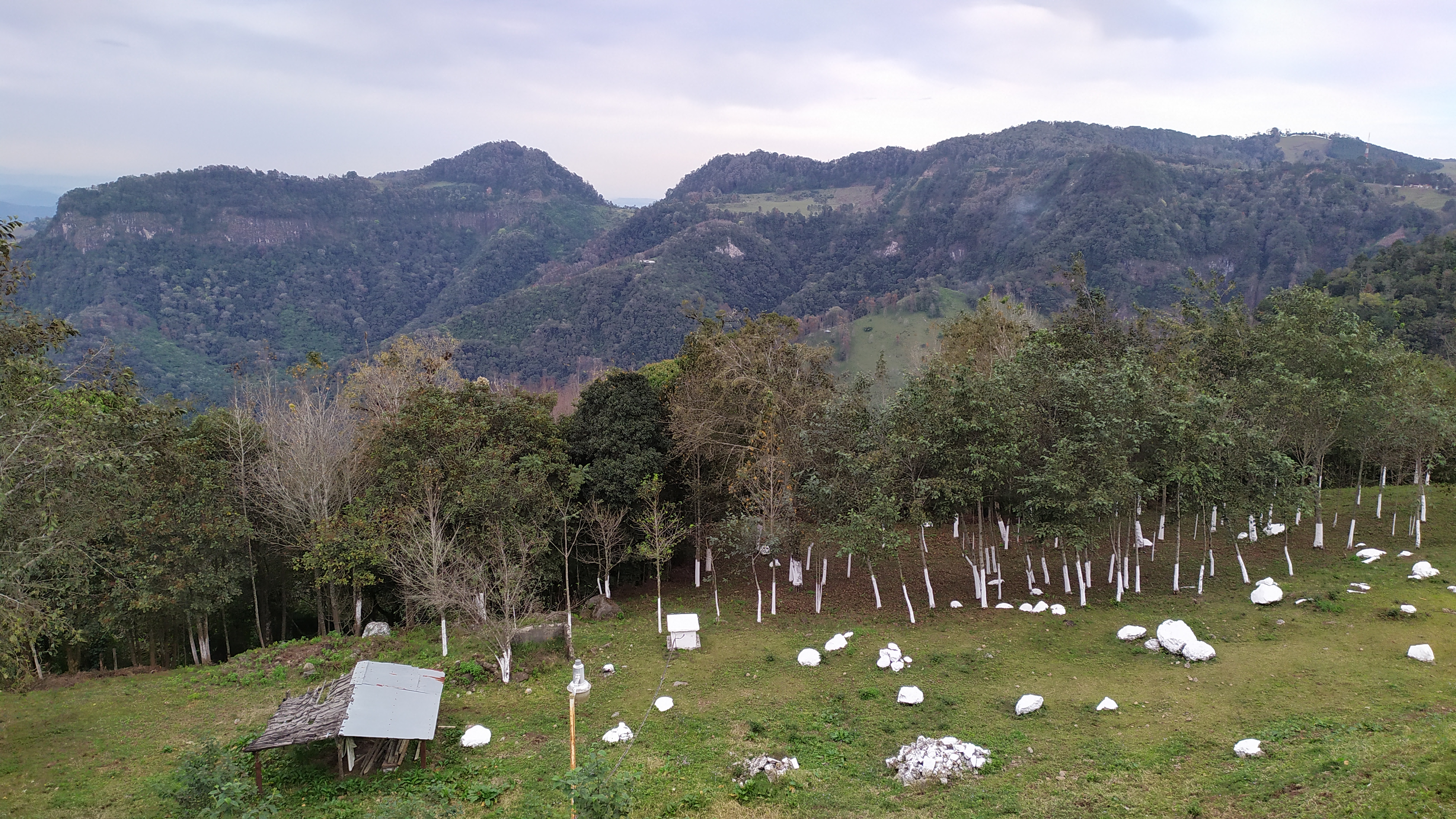 Restaurant Mirador con Hotel image 10