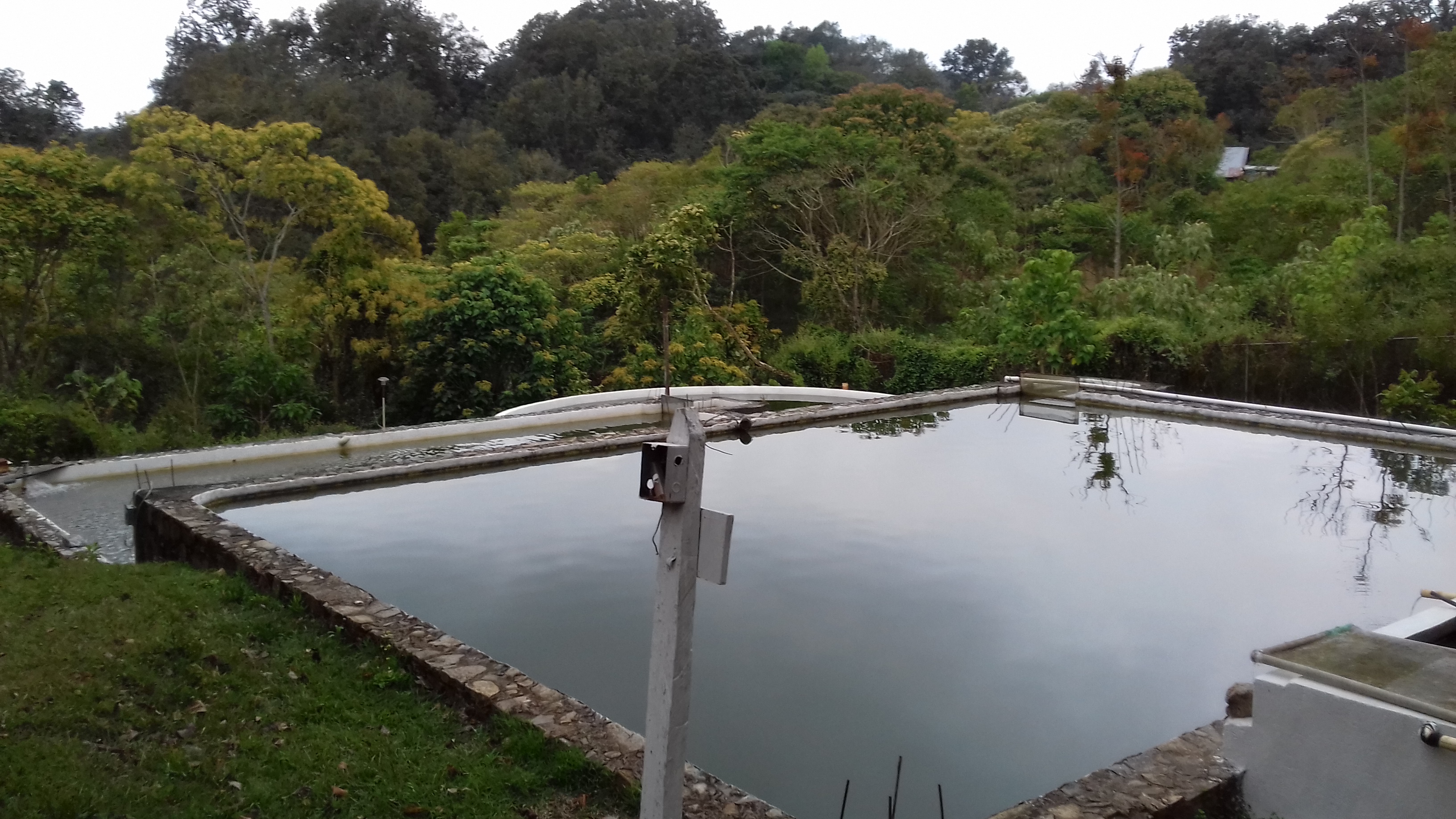 Restaurante La Tilapia Divertida image 4