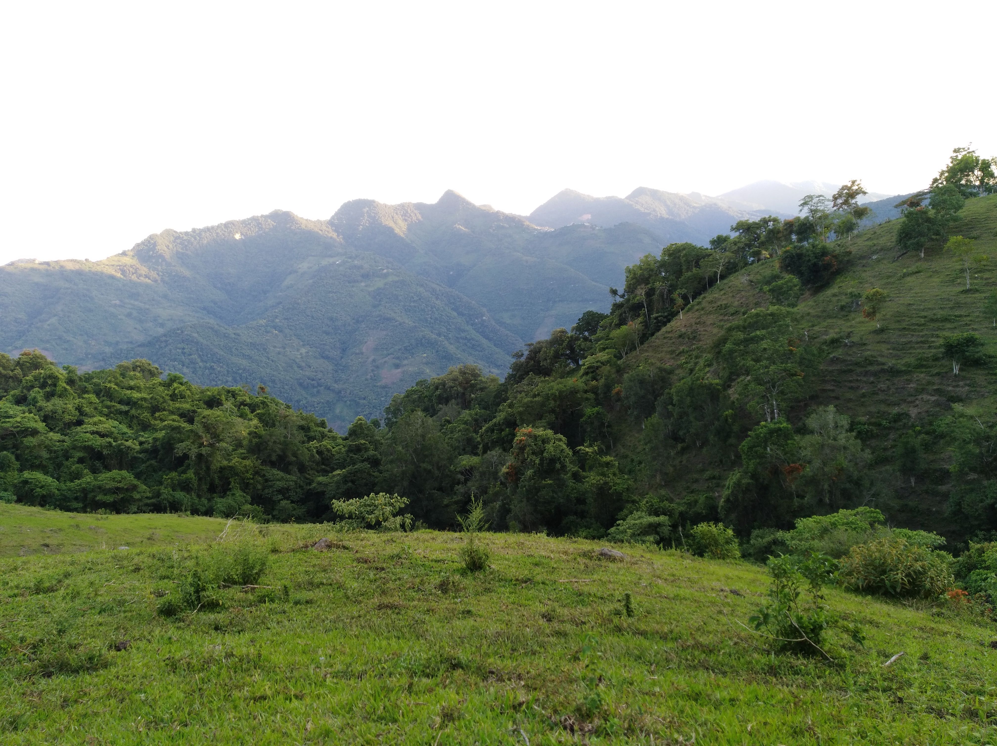 Restaurante La Tilapia Divertida image 7