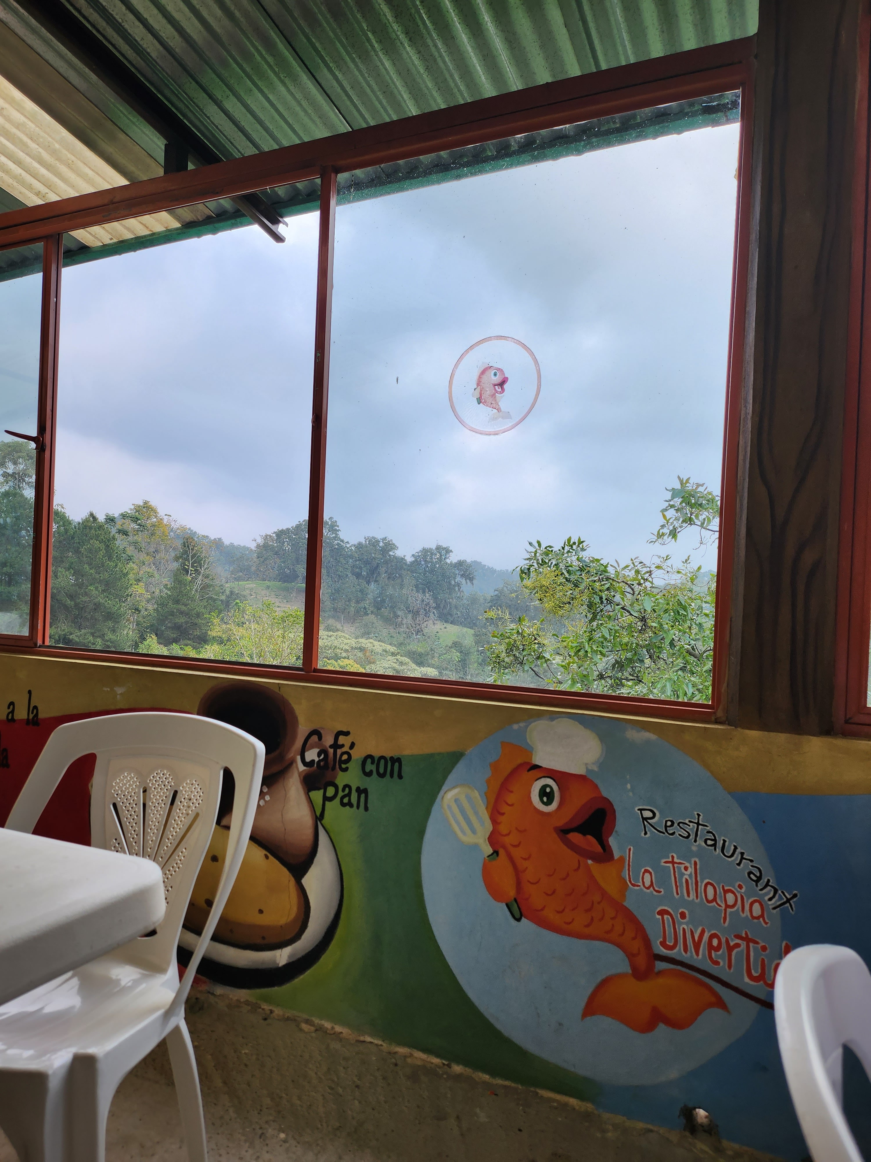 Restaurante La Tilapia Divertida image 9